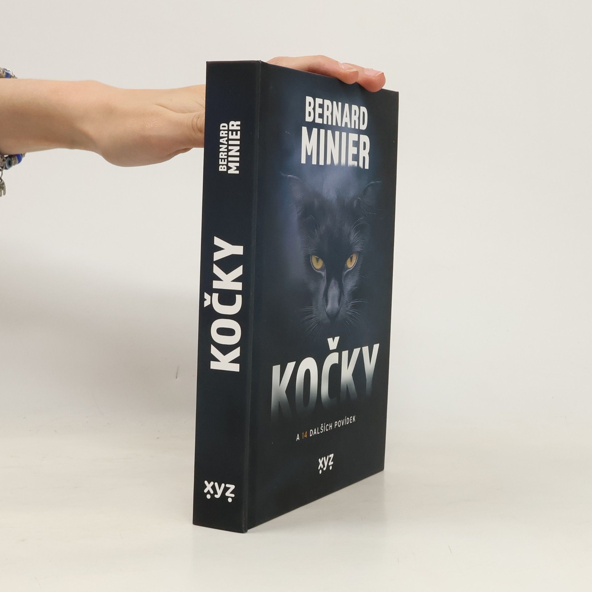 Kočky