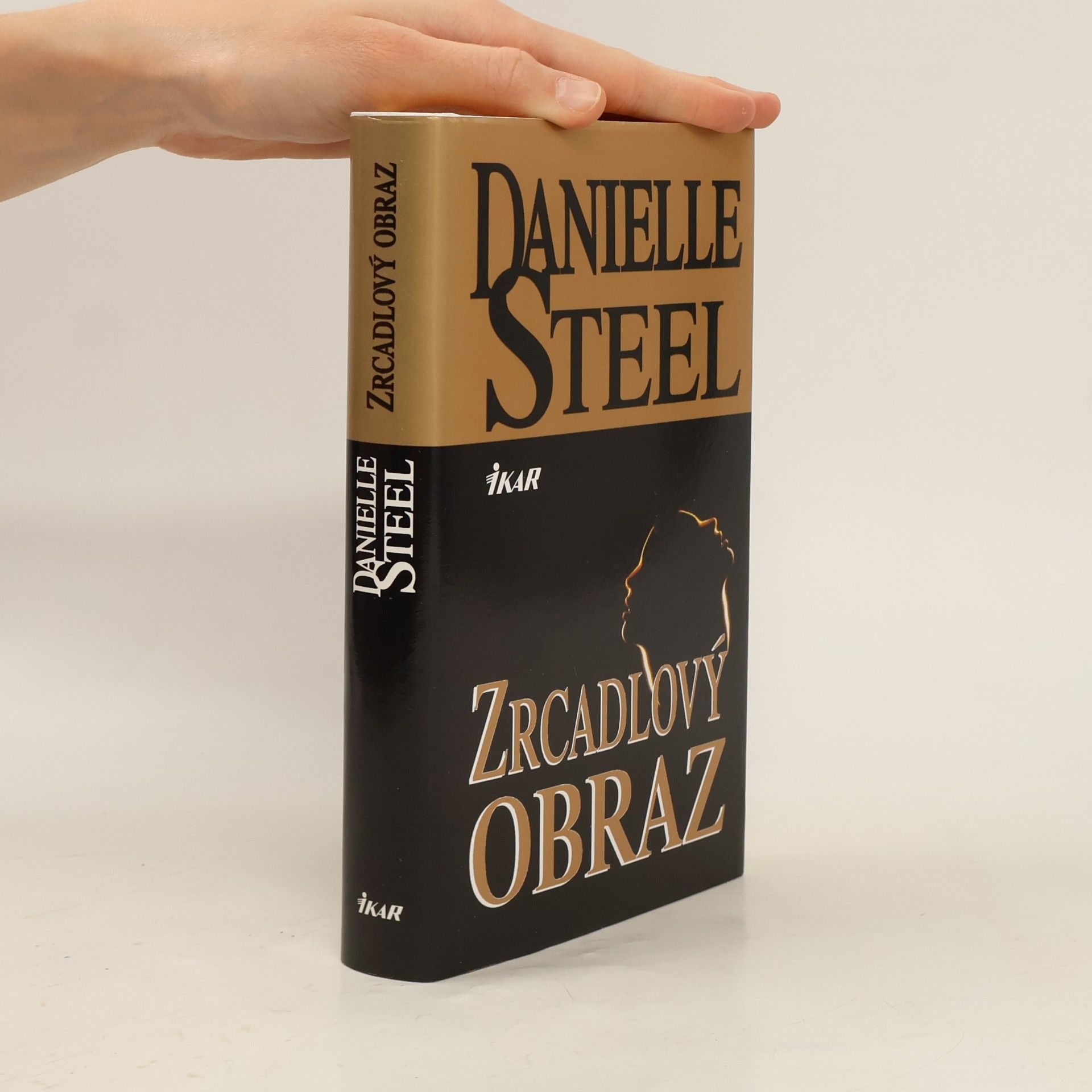 Danielle Steel Zrcadlový obraz