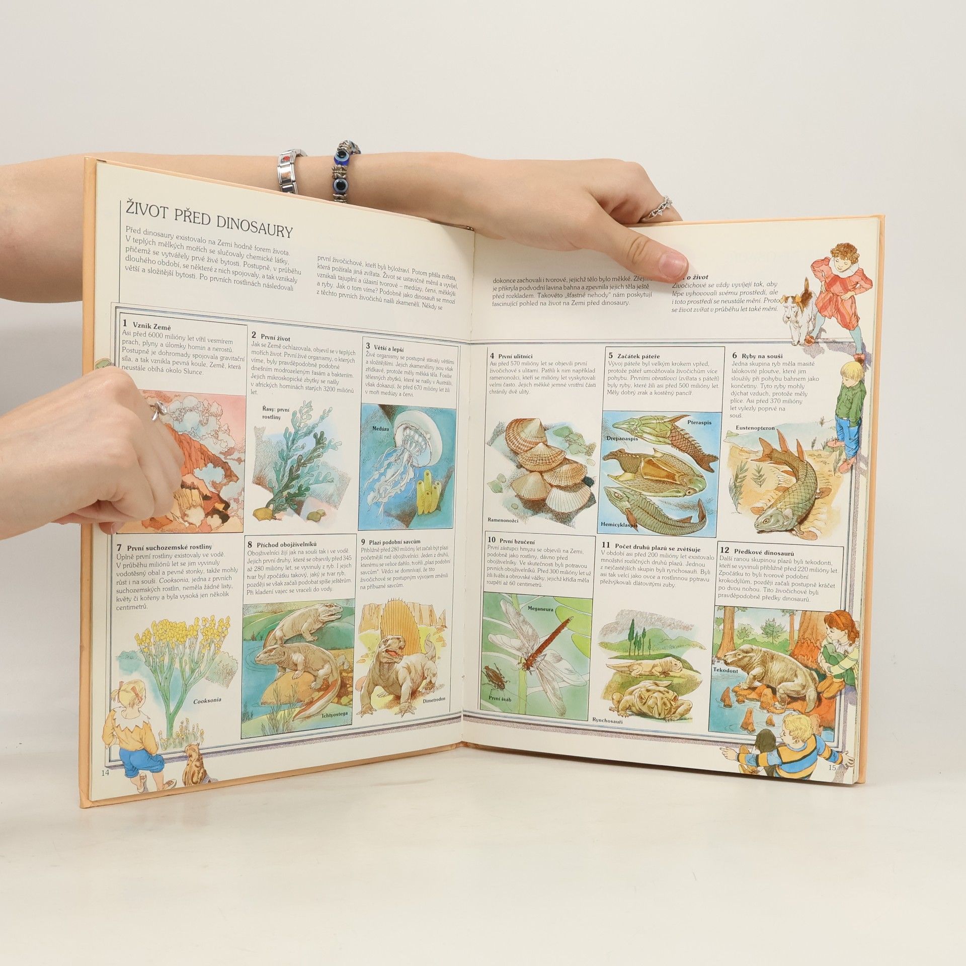 Collectif d'auteurs Jak žili dinosauři