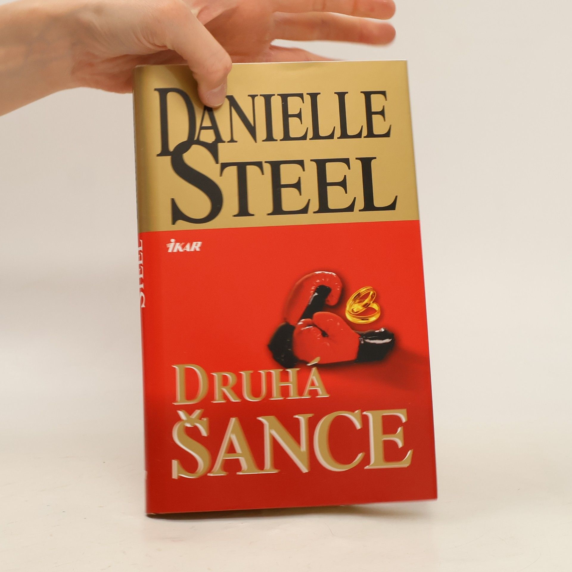 Danielle Steel Druhá šance