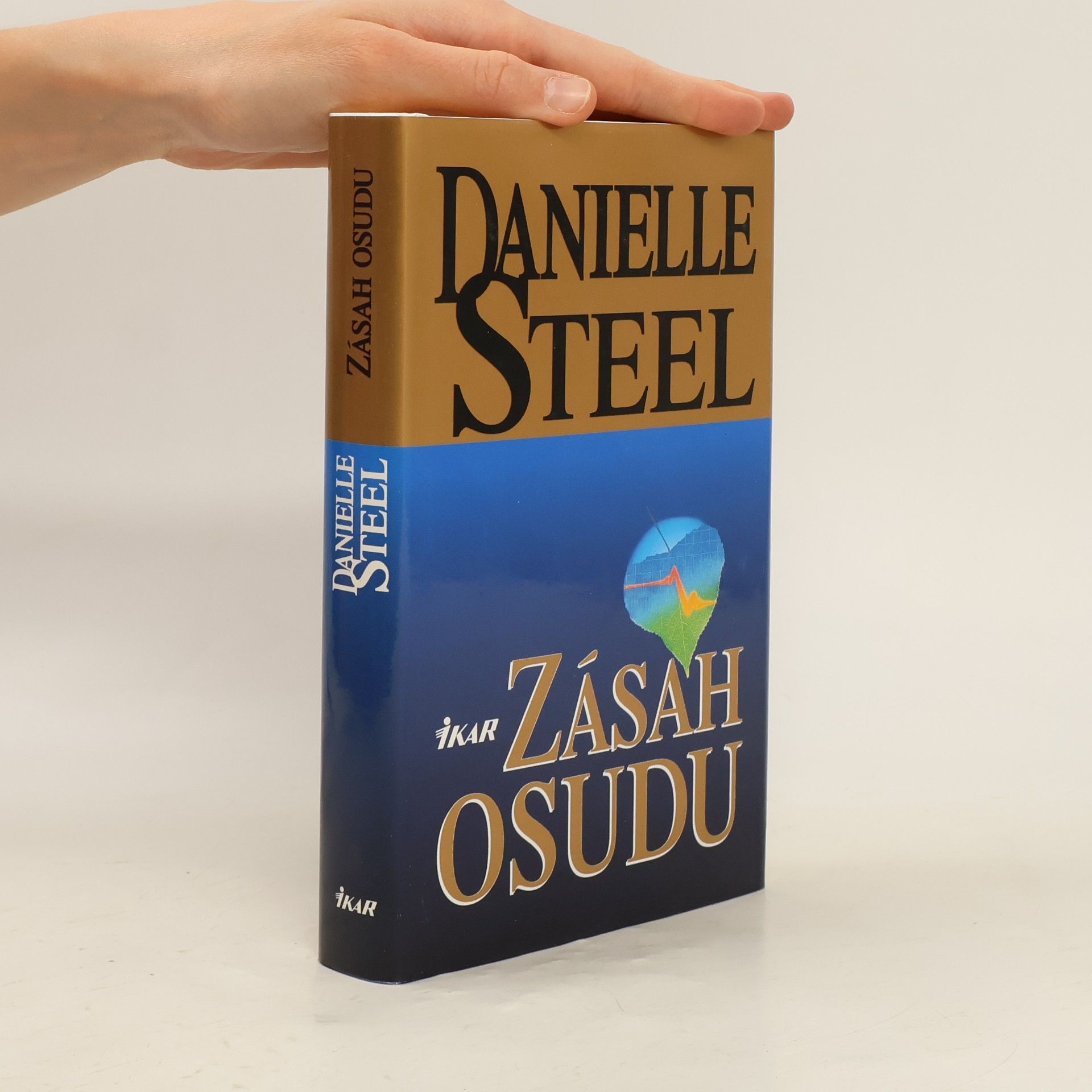 Danielle Steel Zásah osudu