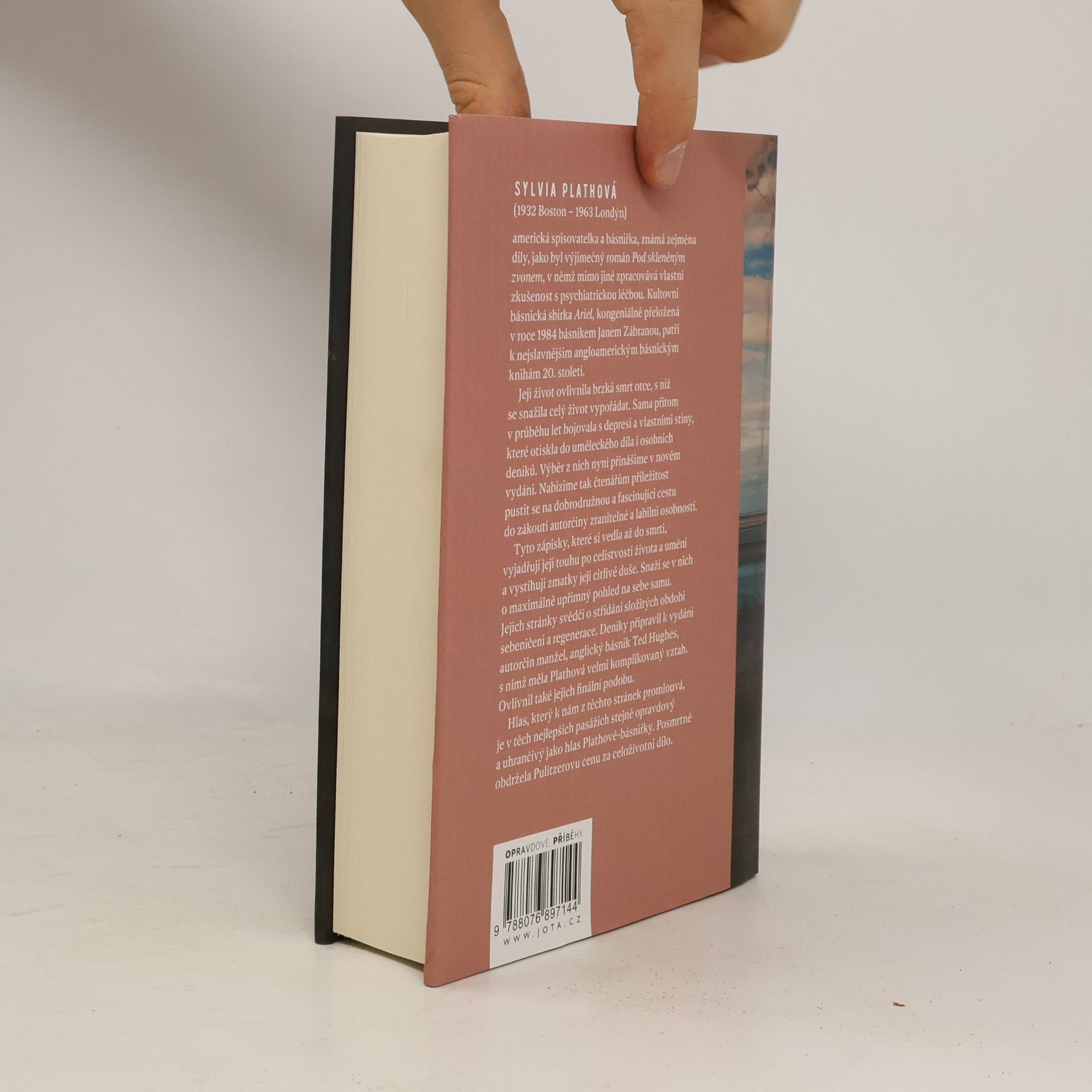 Sylvia Plath Deníky Sylvie Plathové