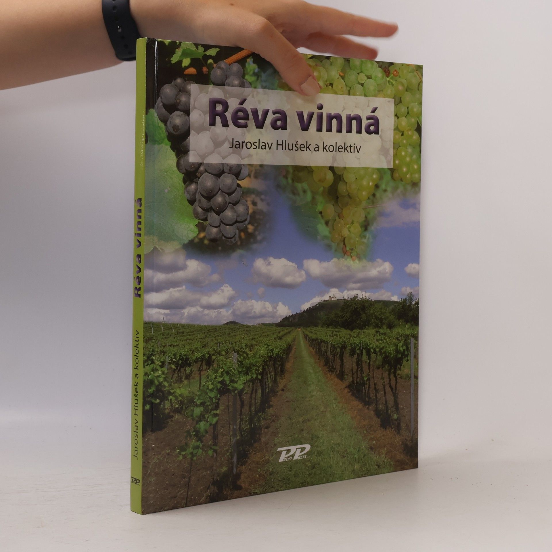 Réva vinná
