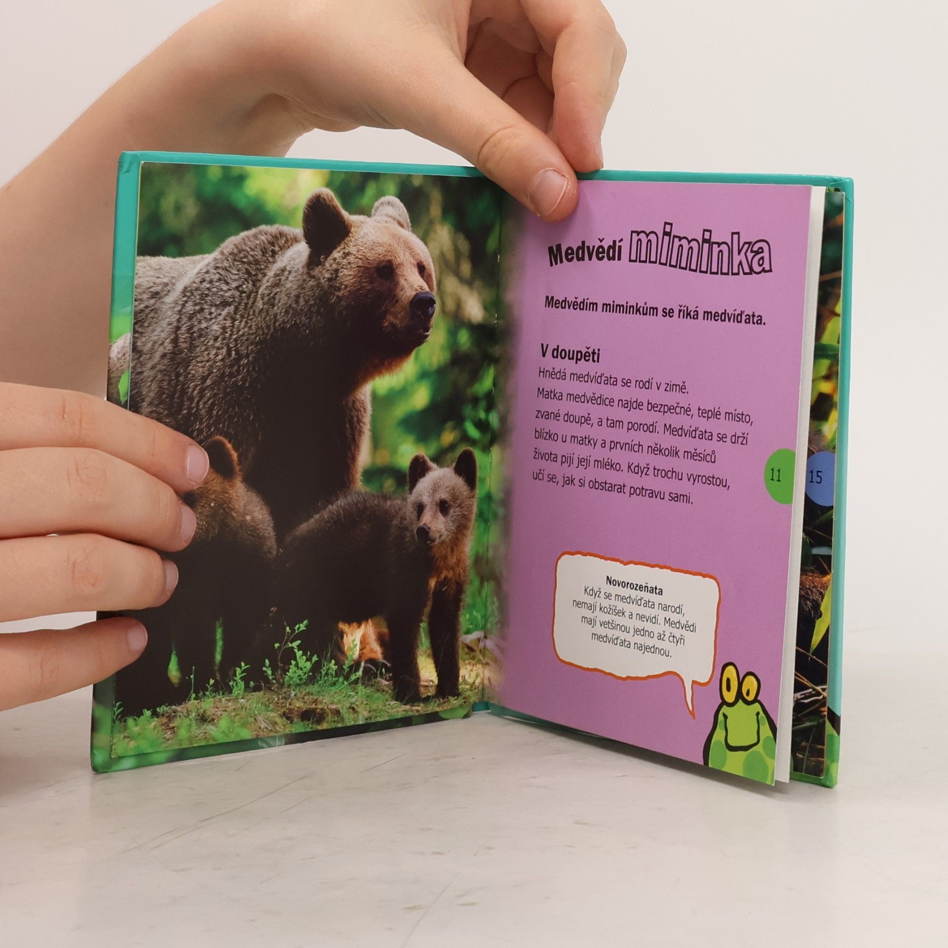 Kolektiv autorů Úžasný svět - Medvědi