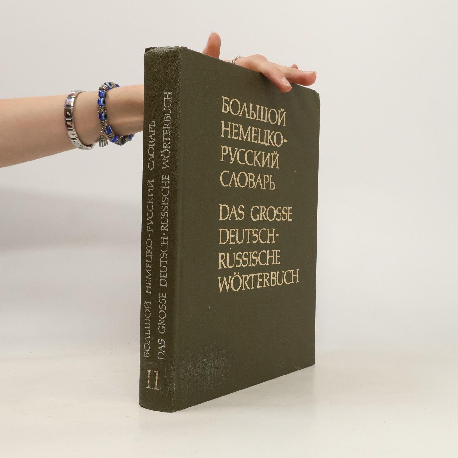 Autorenkollektiv Большой немецко-русский словарь. Das grosse deutsch-russische Wörterbuch II