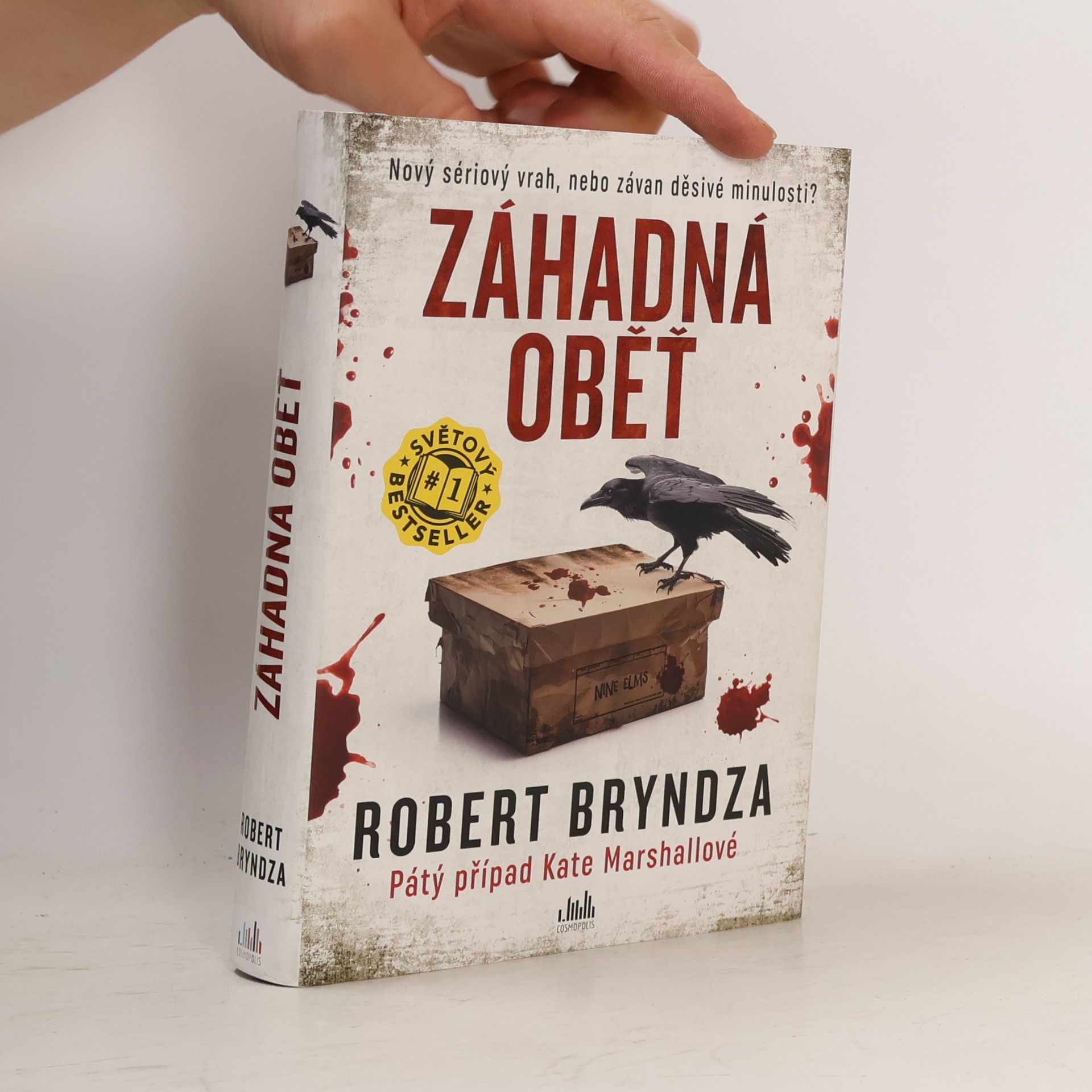Robert Bryndza Záhadná oběť