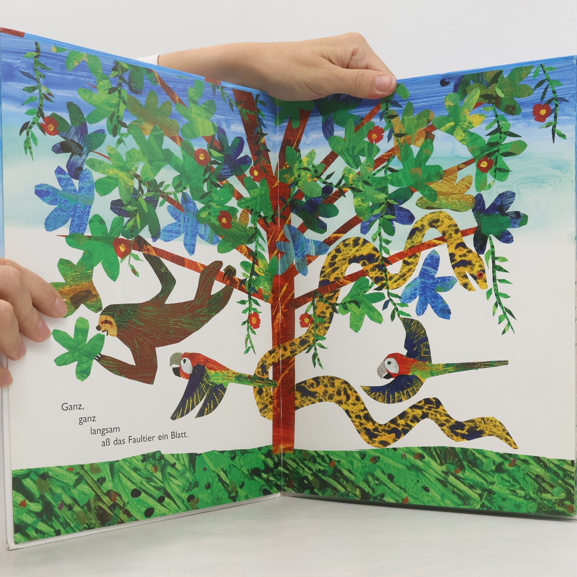 Eric Carle Ganz, ganz langsam, sagte das Faultier