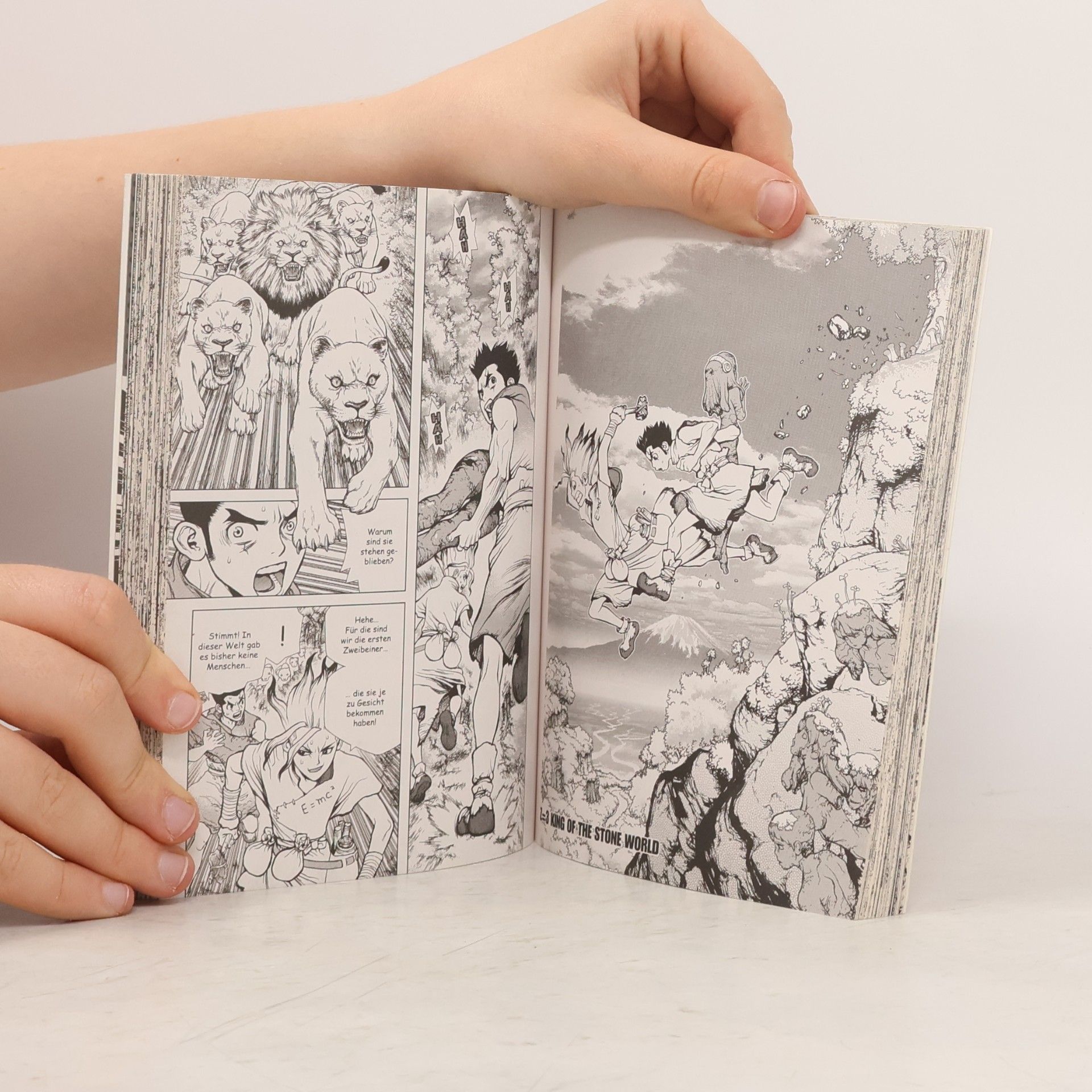 Riichiro Inagaki Dr. Stone 1. Stone World