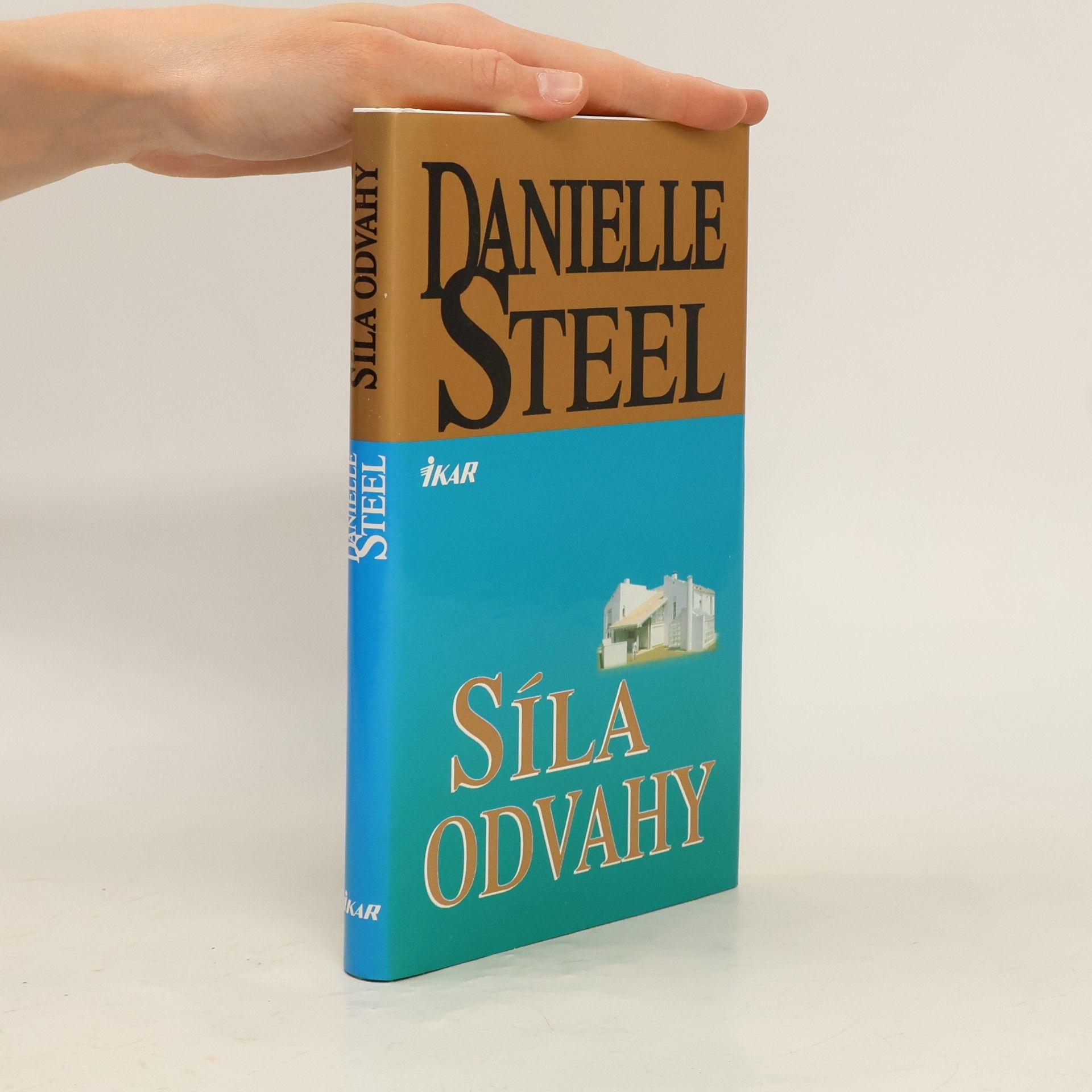 Danielle Steel Síla odvahy
