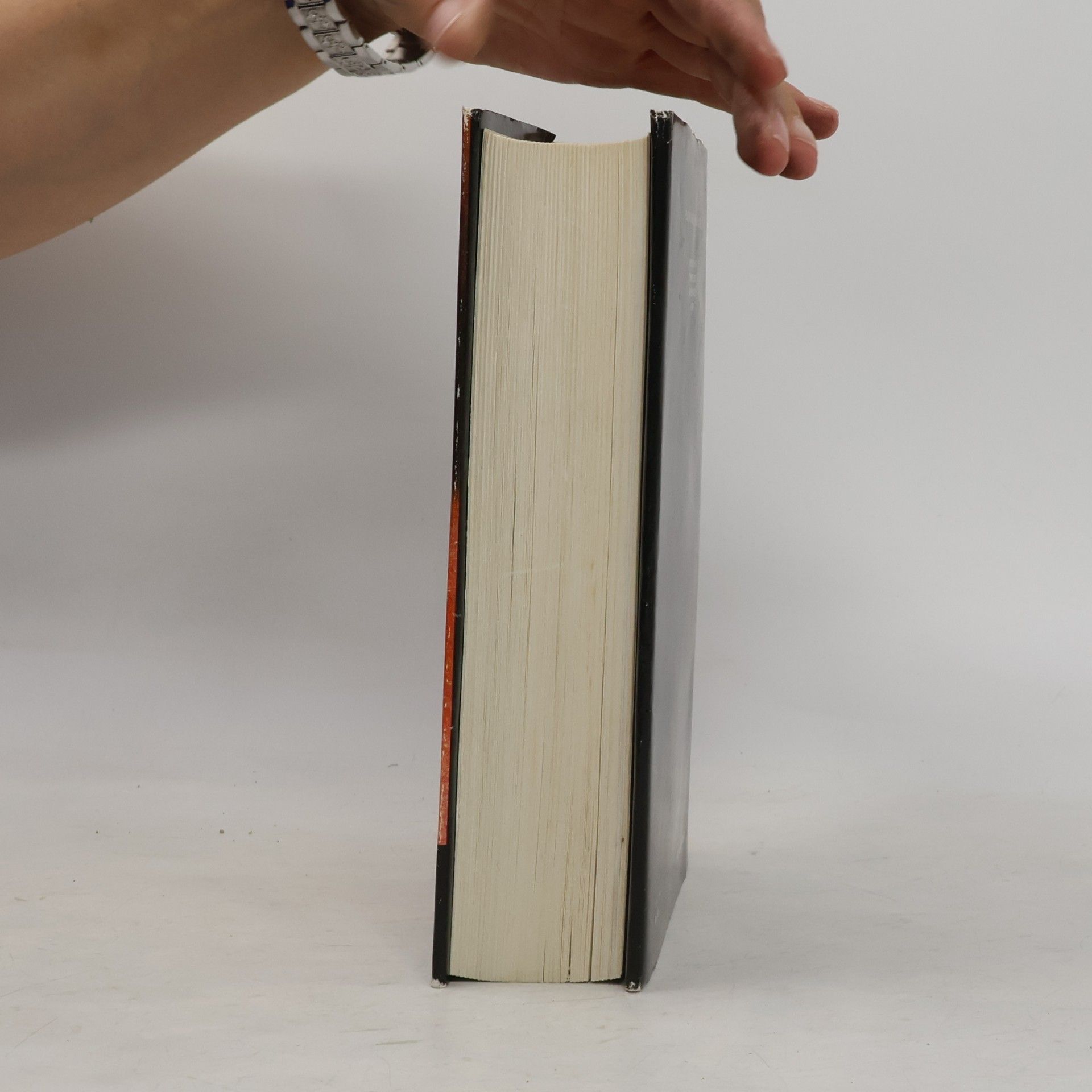 Colleen McCullough Vtáky v tŕní
