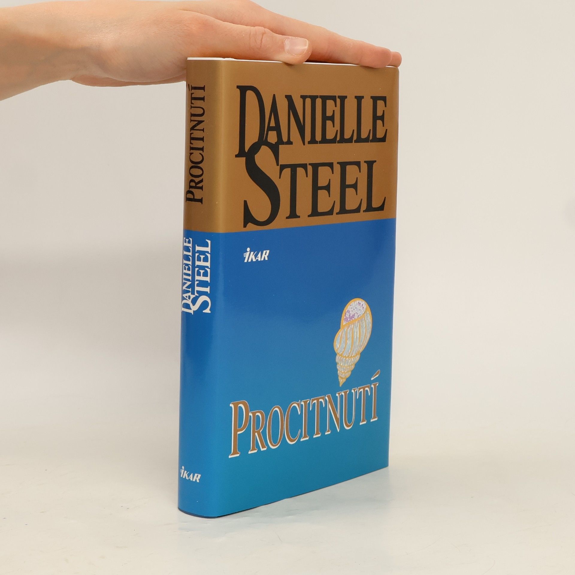 Danielle Steelová Procitnutí