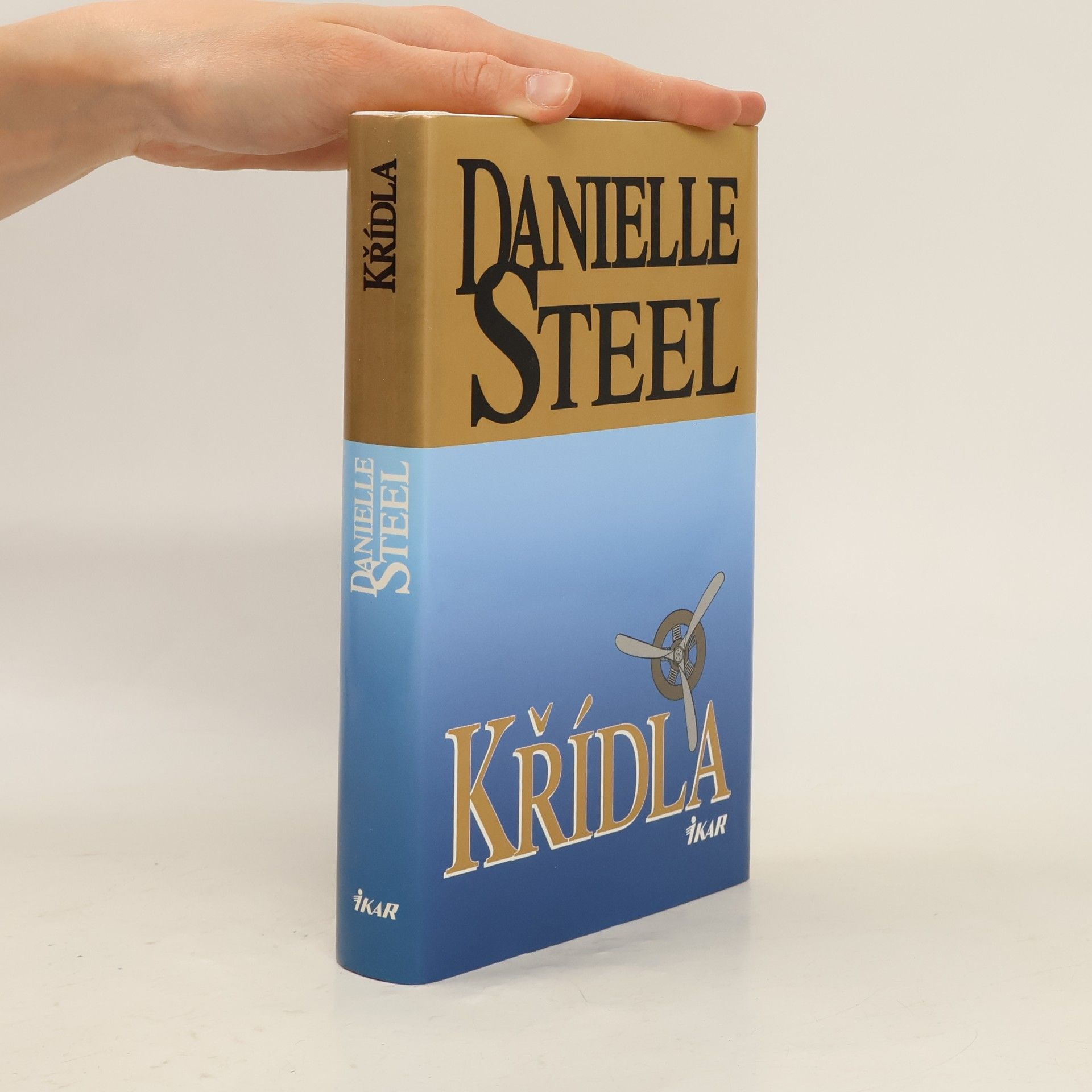 Danielle Steel Křídla