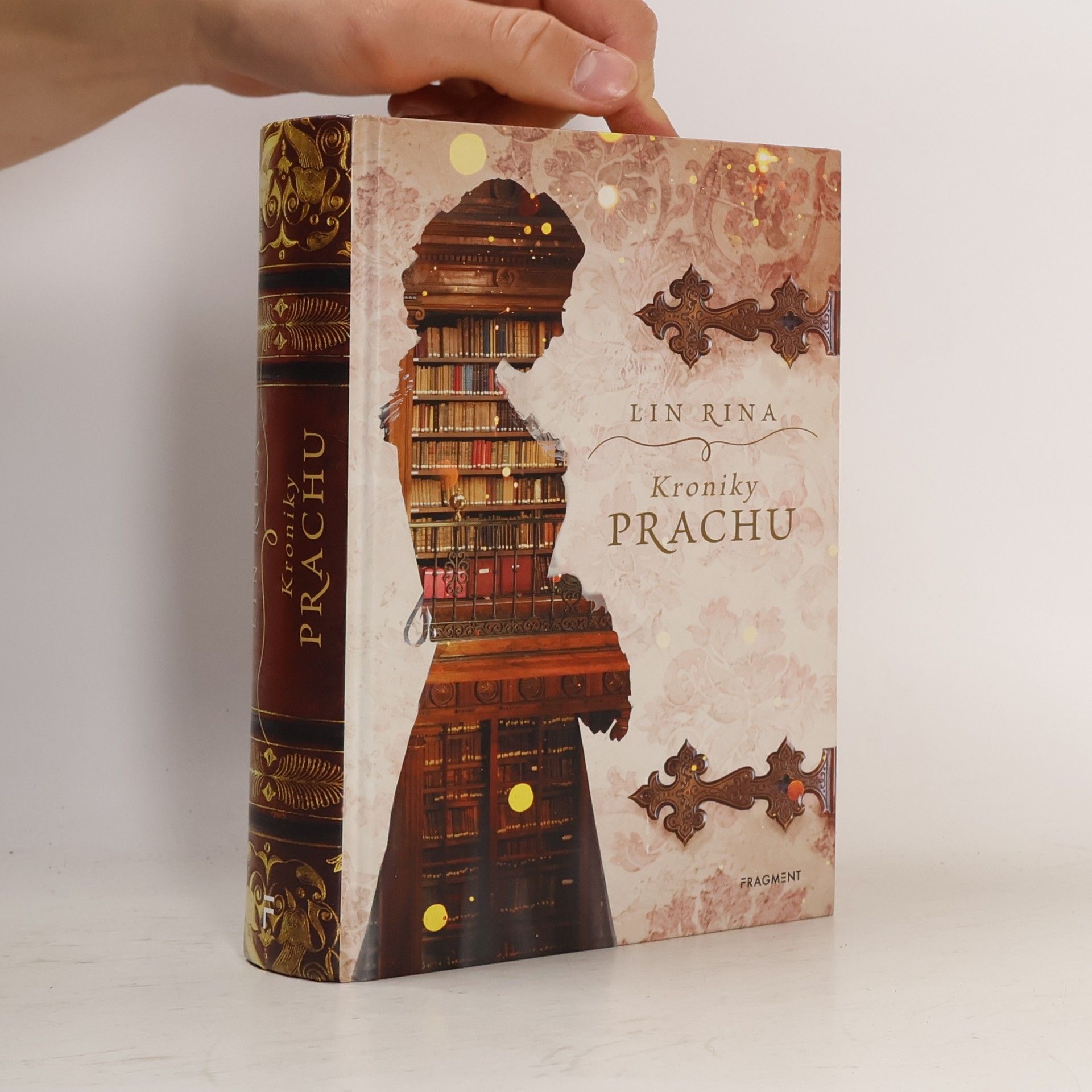 Lin Rina Kroniky prachu