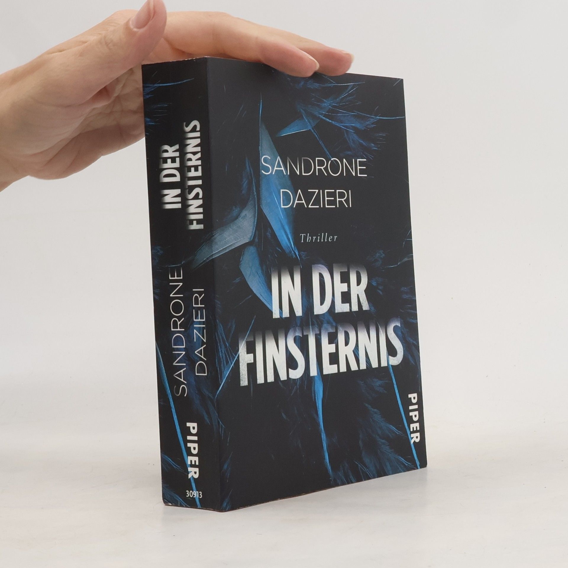 Sandrone Dazieri In der Finsternis