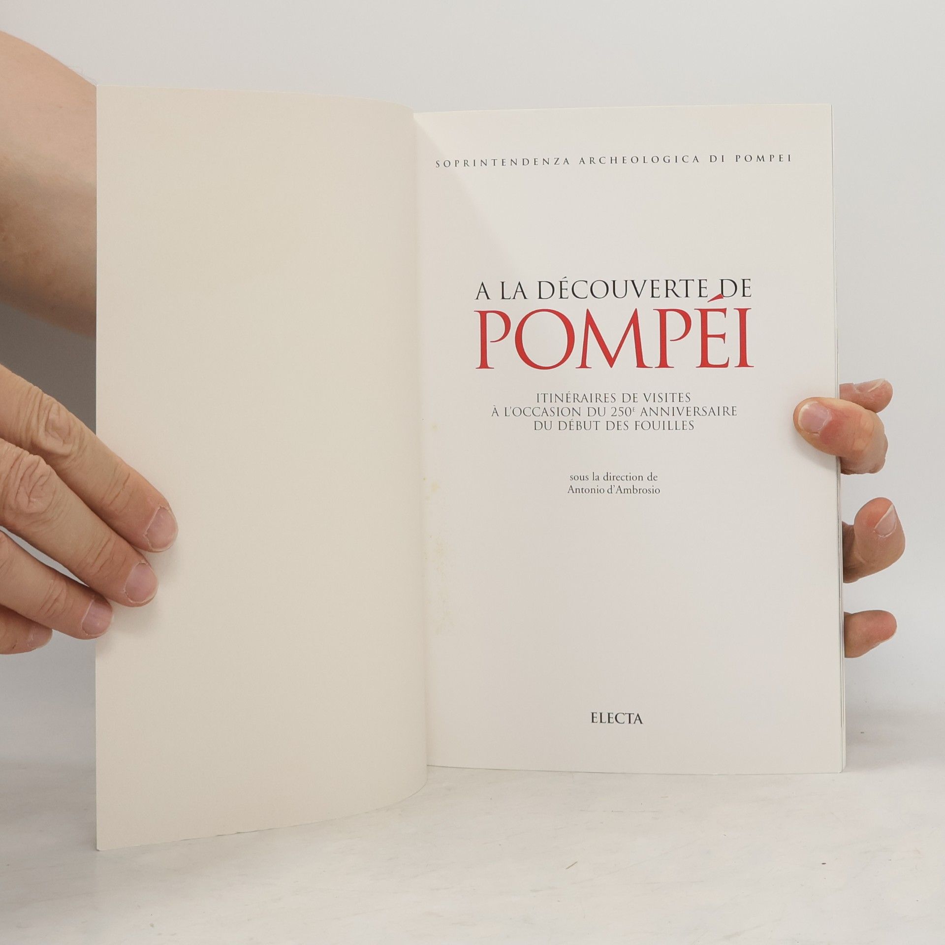 Antonio D\'Ambrosio À la découverte de Pompéi