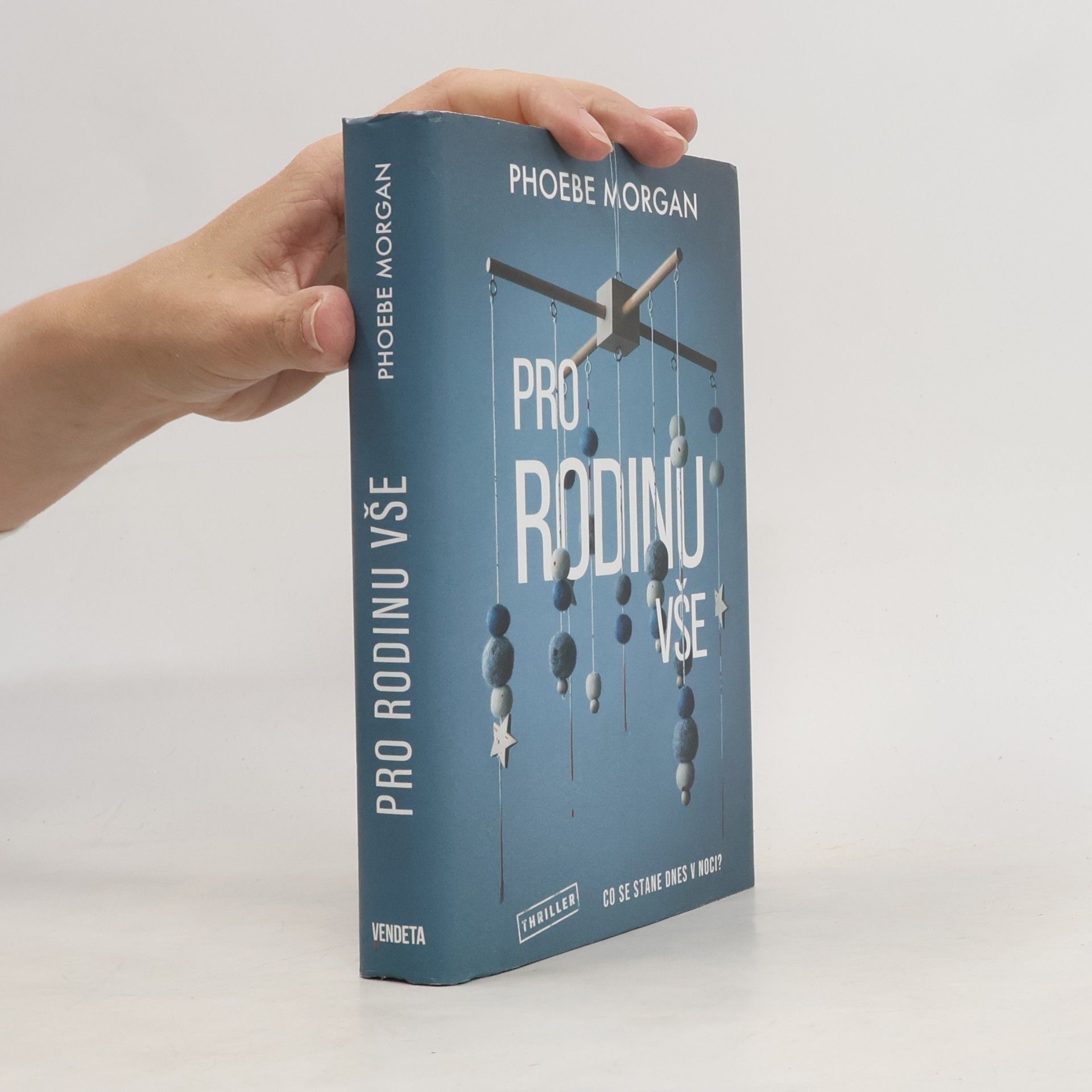 Phoebe Morgan Pro rodinu vše