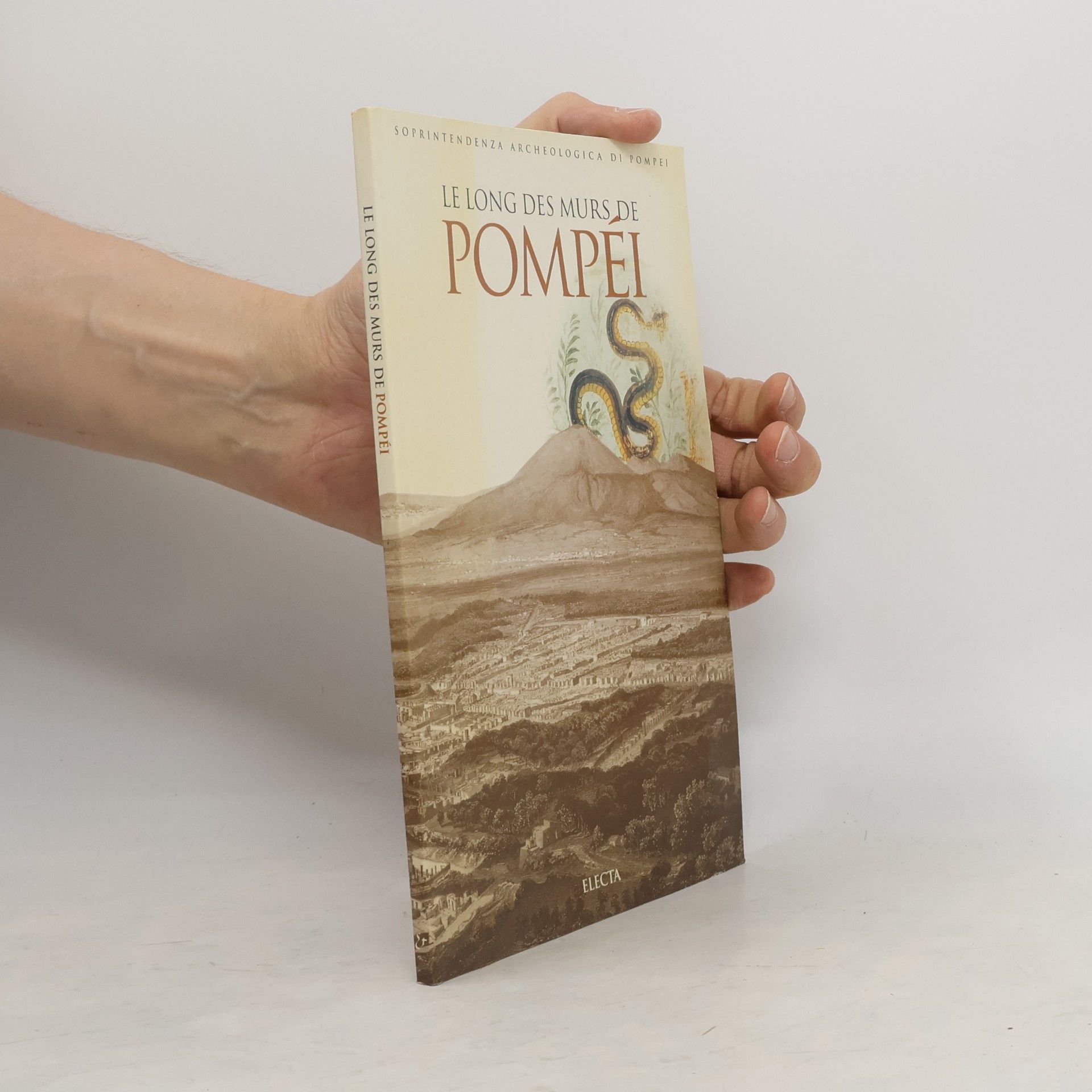 Annamaria Ciarallo Le long des murs de Pompéi