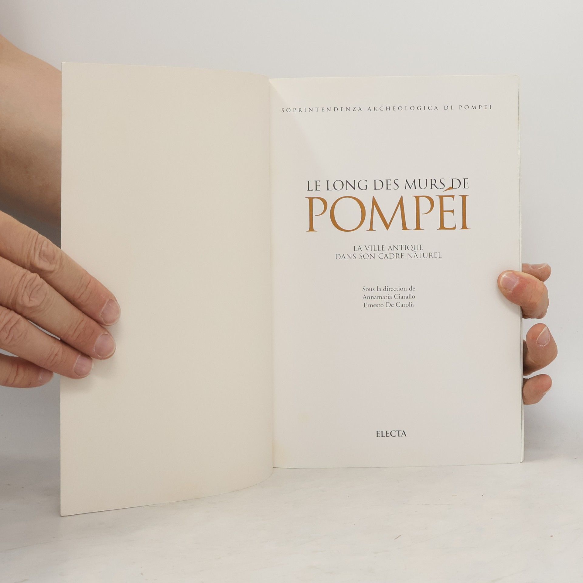 Annamaria Ciarallo Le long des murs de Pompéi