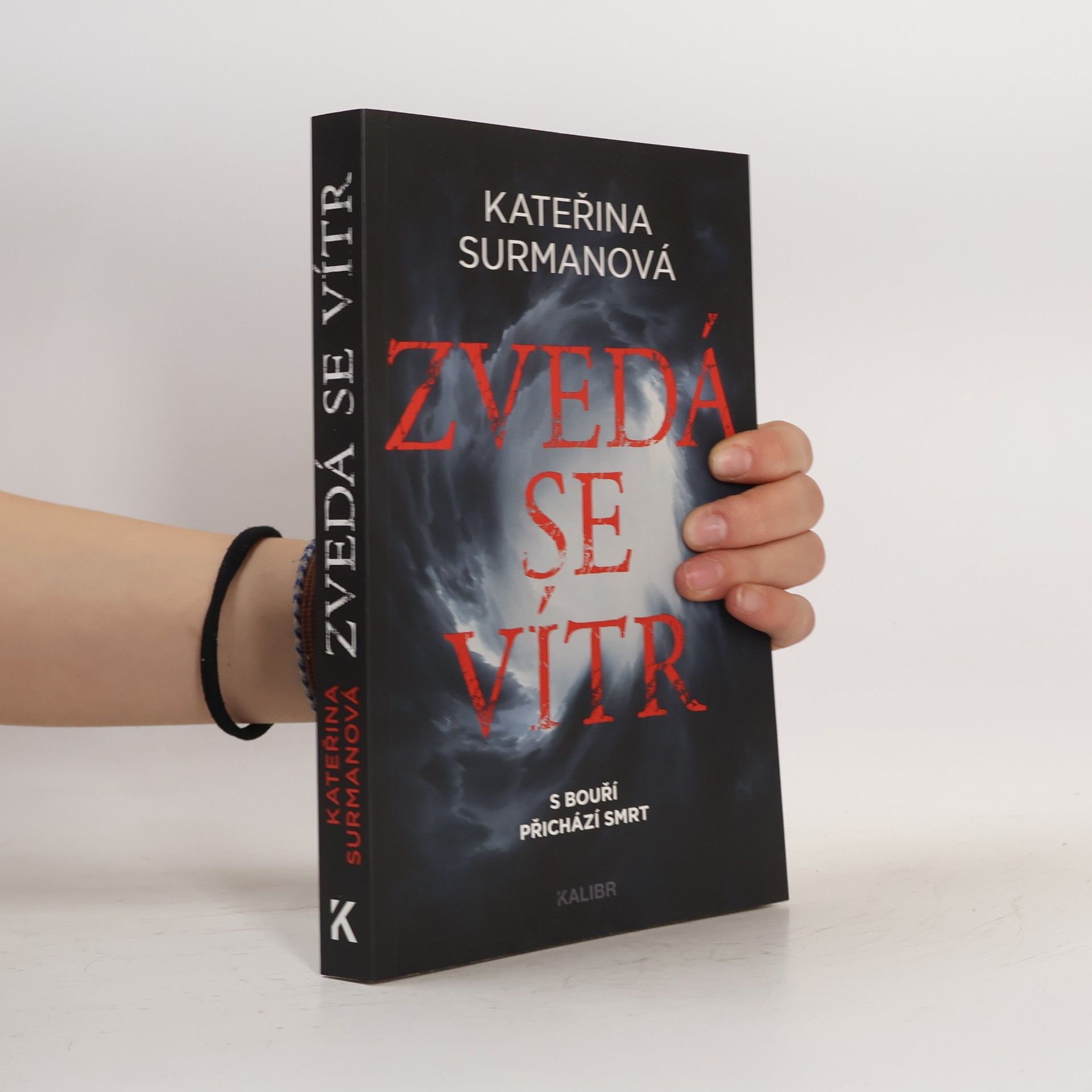 Kateřina Surmanová Zvedá se vítr