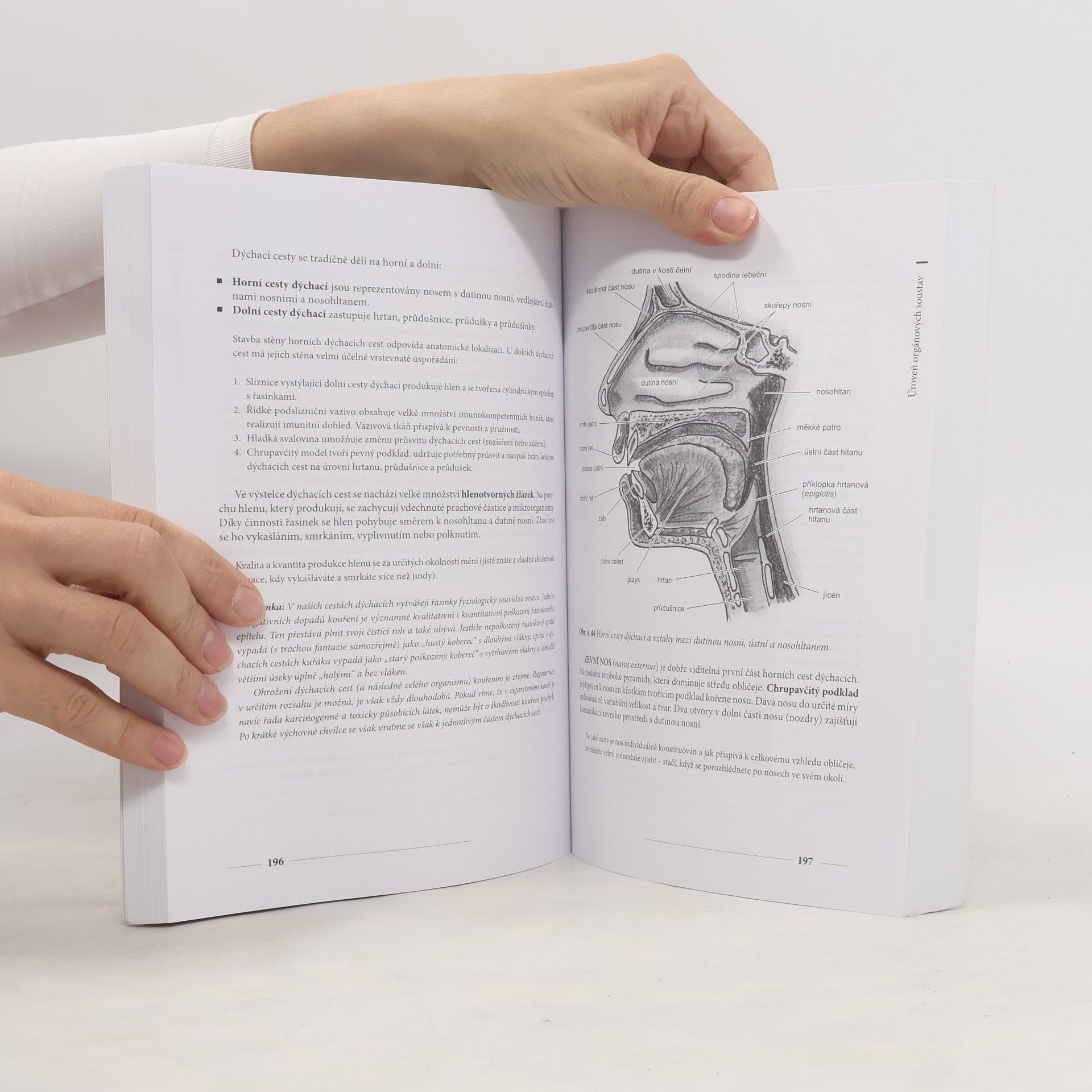 Miroslav Orel Anatomie a fyziologie lidského těla. Pro humanitní obory