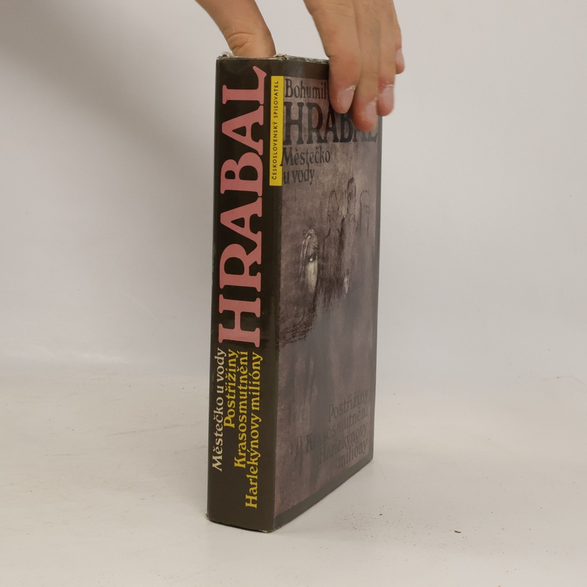 Bohumil Hrabal Městečko u vody