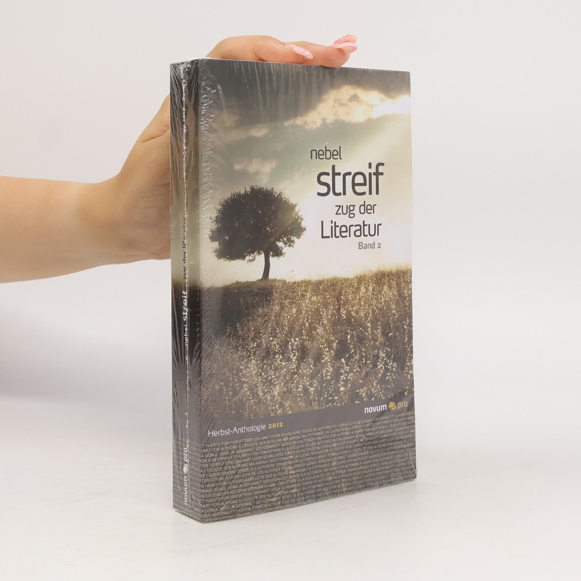 Autorenkollektiv Querschnitte Herbst 2012 - 2: Nebel Streifzug der Literatur