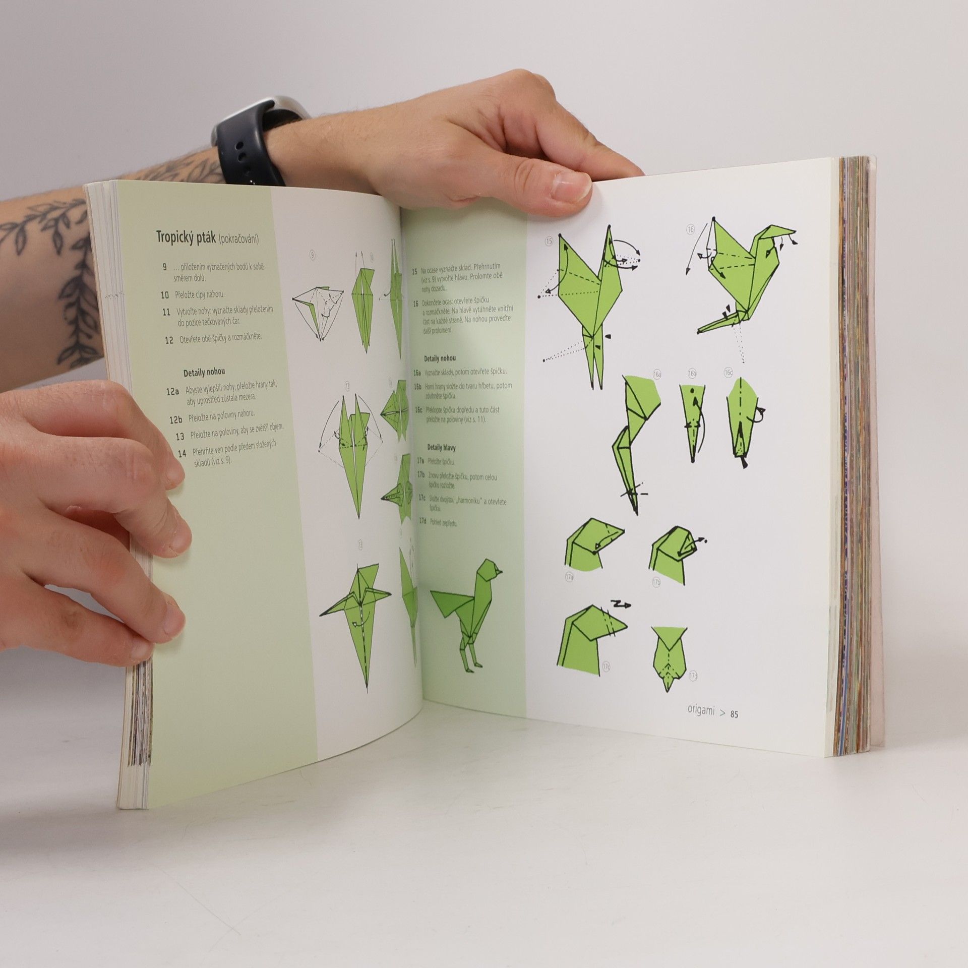 Didier Boursin Zoorigami