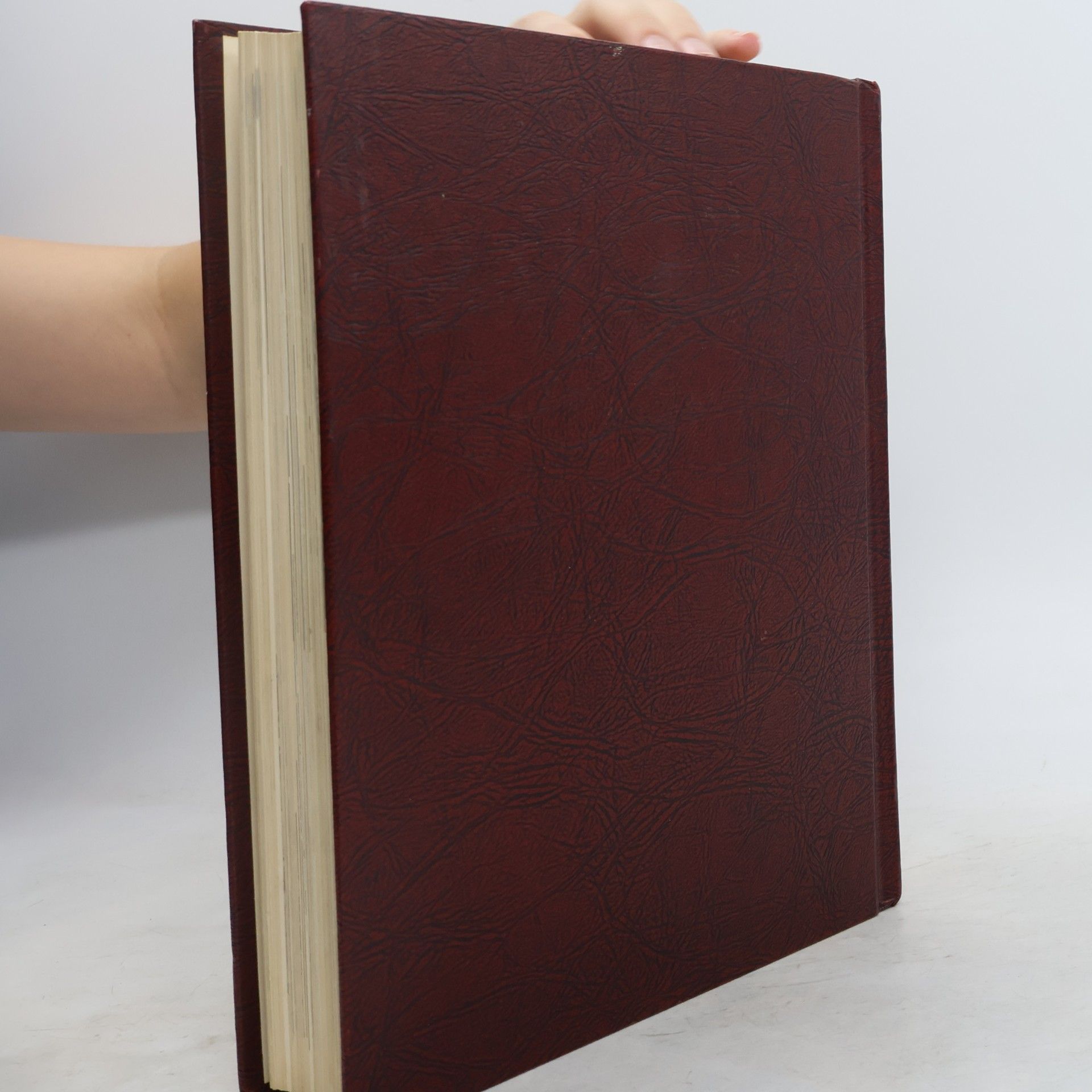 Auteurscollectief Britannica Book of the Year 1971