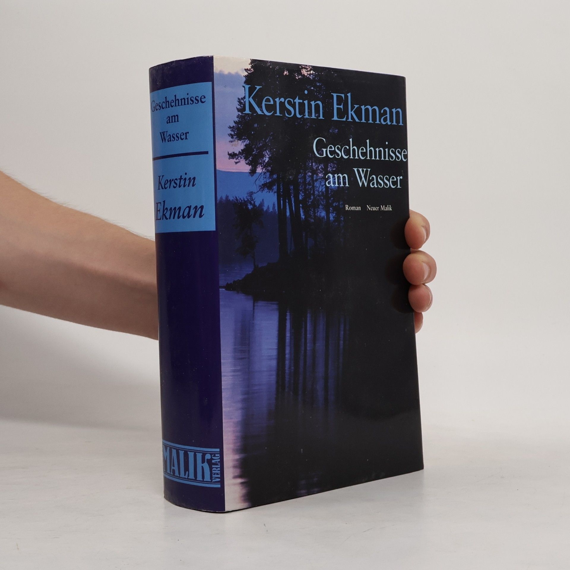 Kerstin Ekman Geschehnisse am Wasser