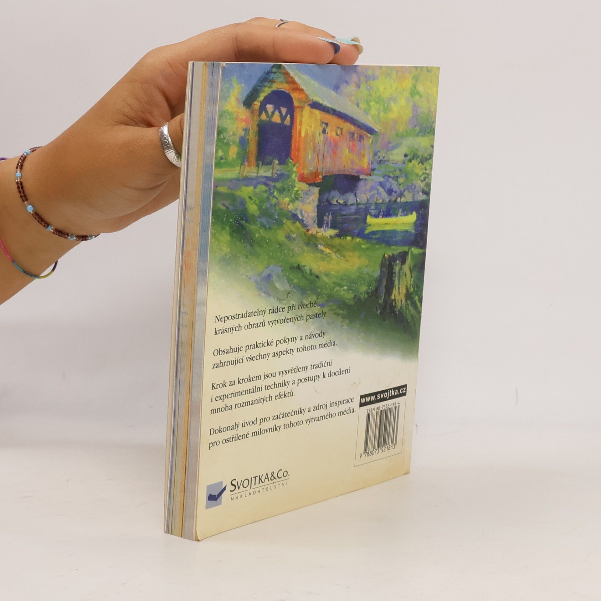 Various authors Pastely: Příručka pro výtvarníky