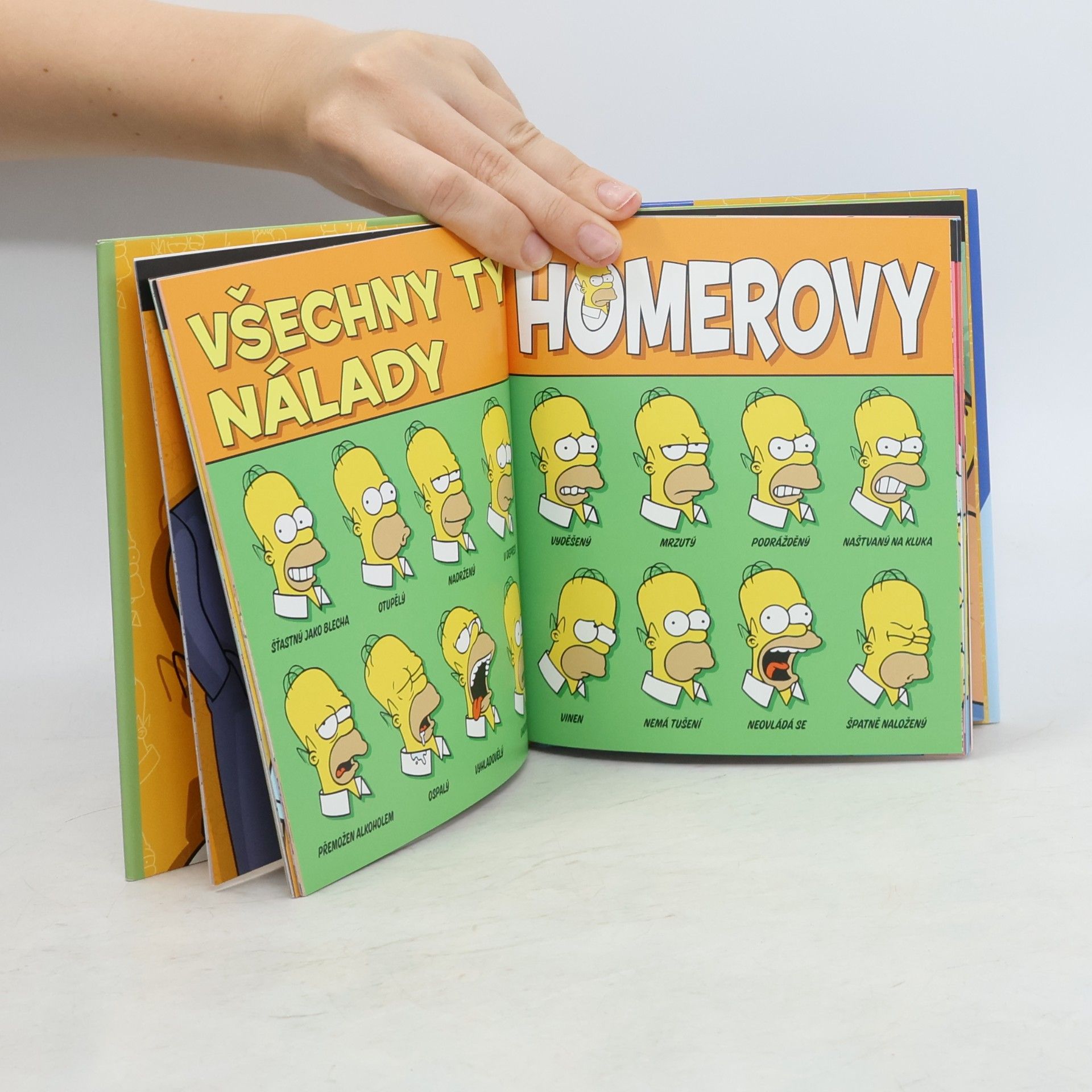Dana Kristlová Homerova kniha