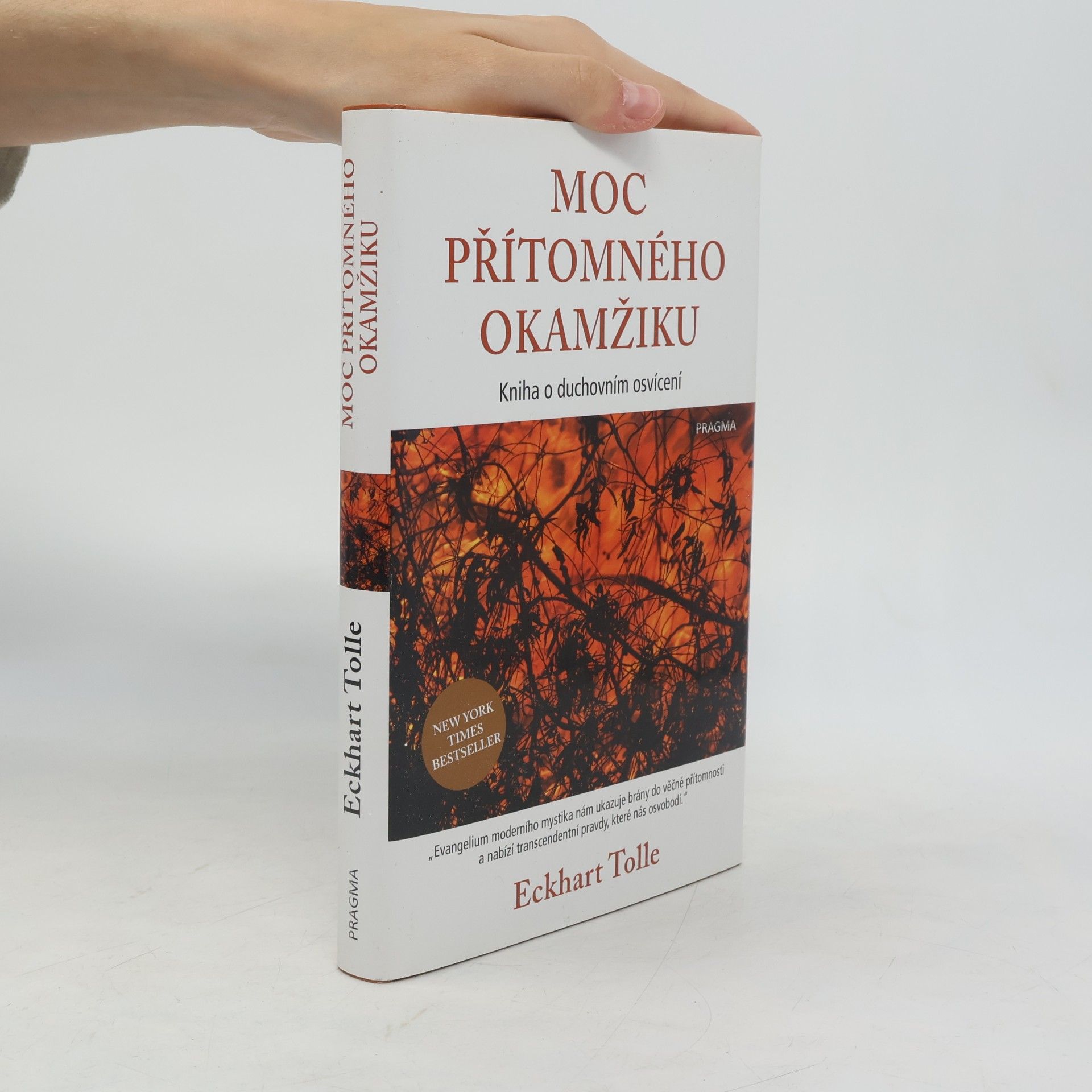 Eckhart Tolle Moc přítomného okamžiku