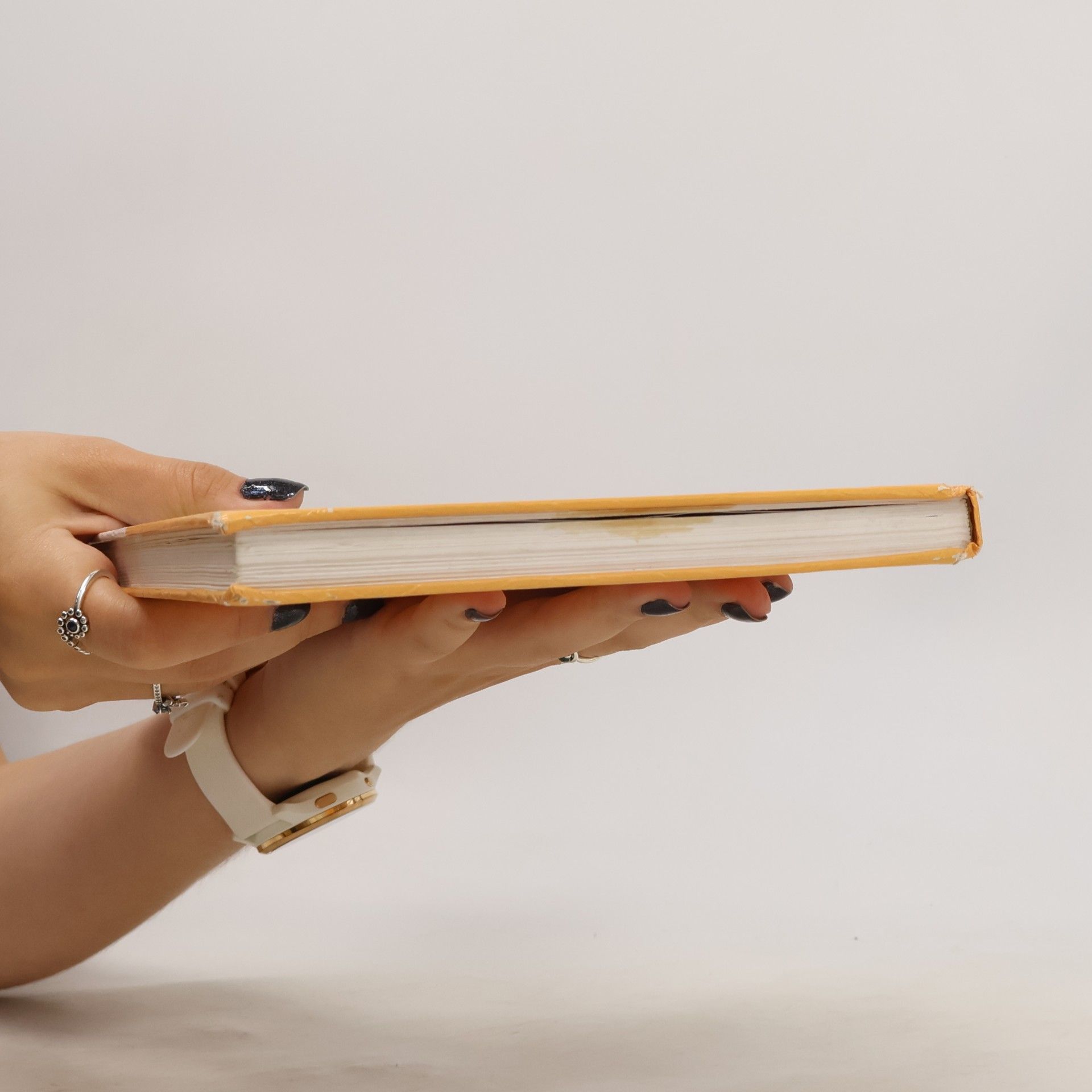 Věra Höppnerová Begleiter : Übungsgrammatik zum Lehrbuch Deutsch für Gymnasien