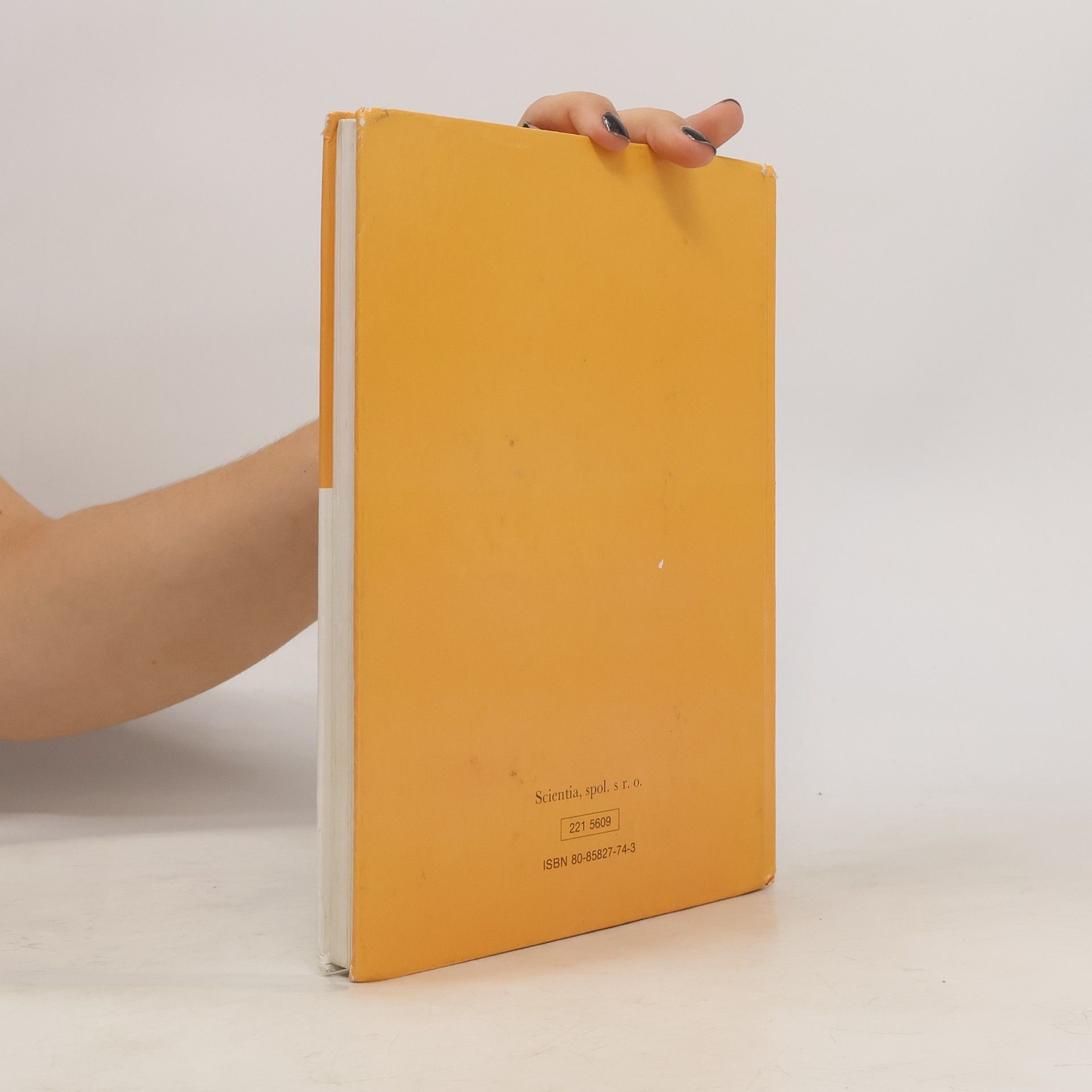 Věra Höppnerová Begleiter : Übungsgrammatik zum Lehrbuch Deutsch für Gymnasien