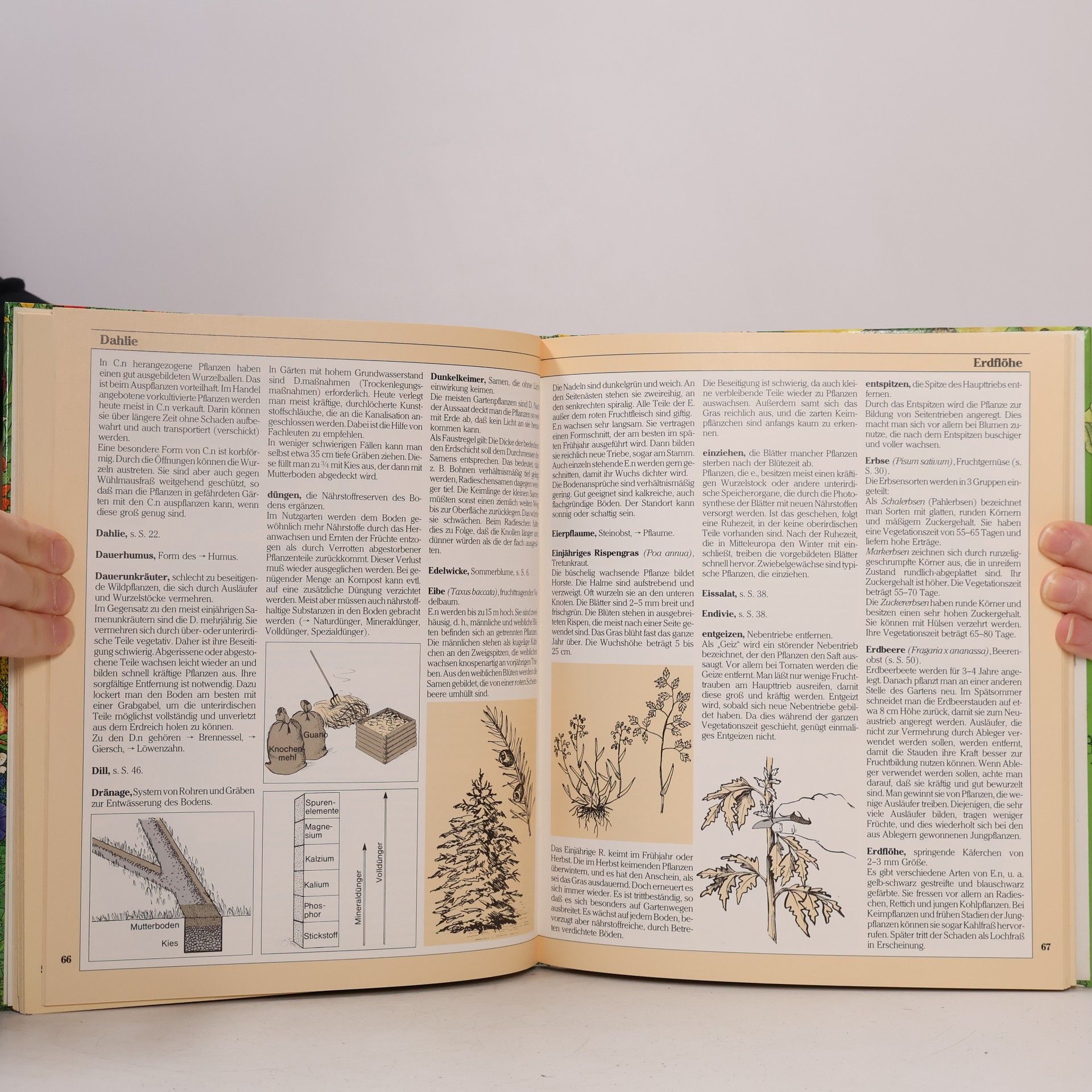 Gustav Schoser Gärtner Gustavs Garten-Kalender