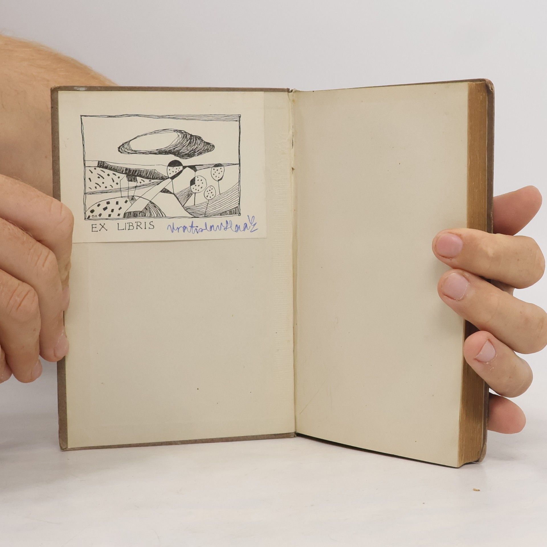Hermann Hesse Demian Die Geschichte von Emil Bindairs Jugend