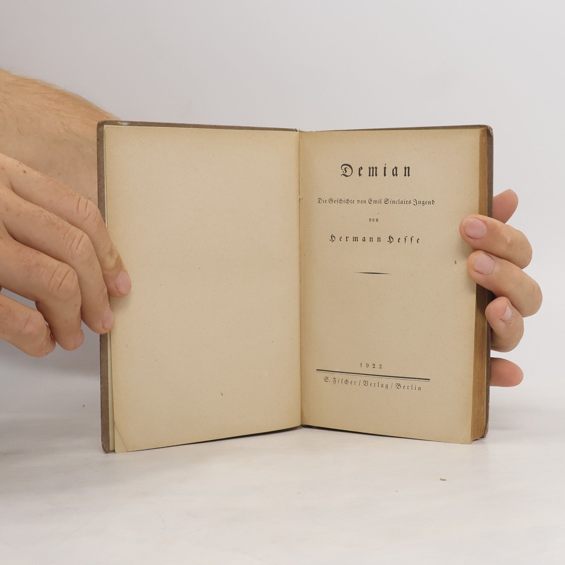 Hermann Hesse Demian Die Geschichte von Emil Bindairs Jugend