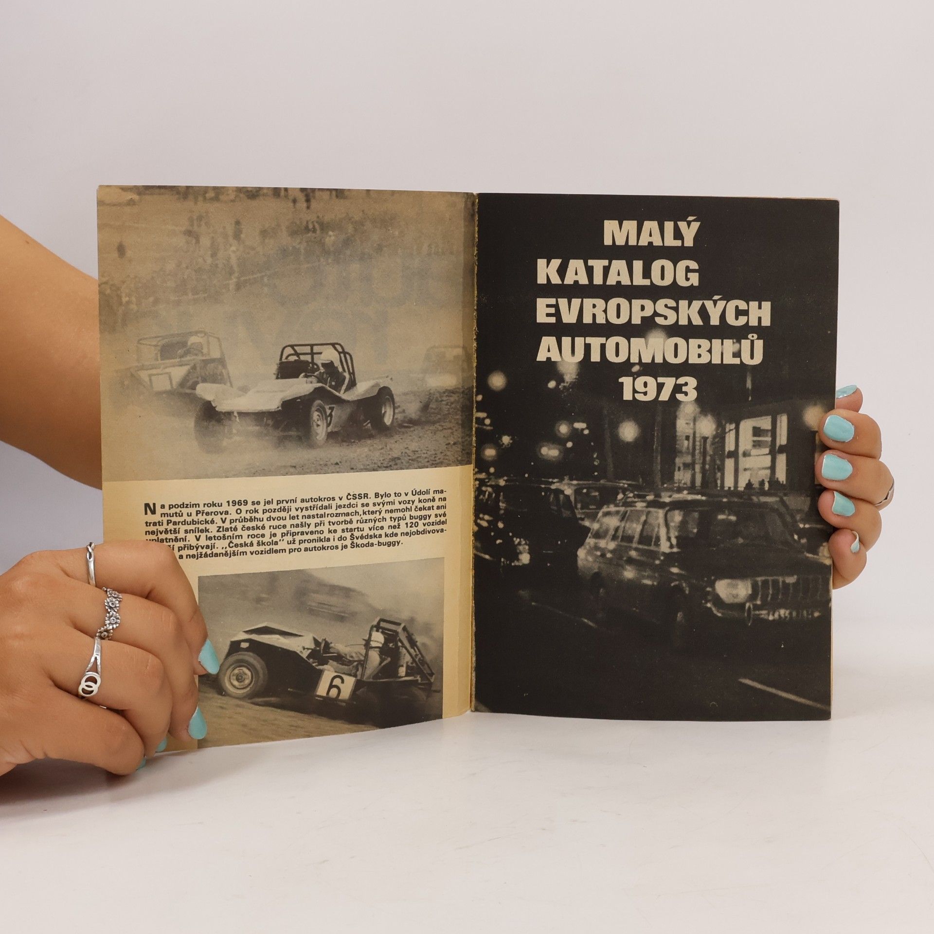 Kolektiv autorů Auto revue