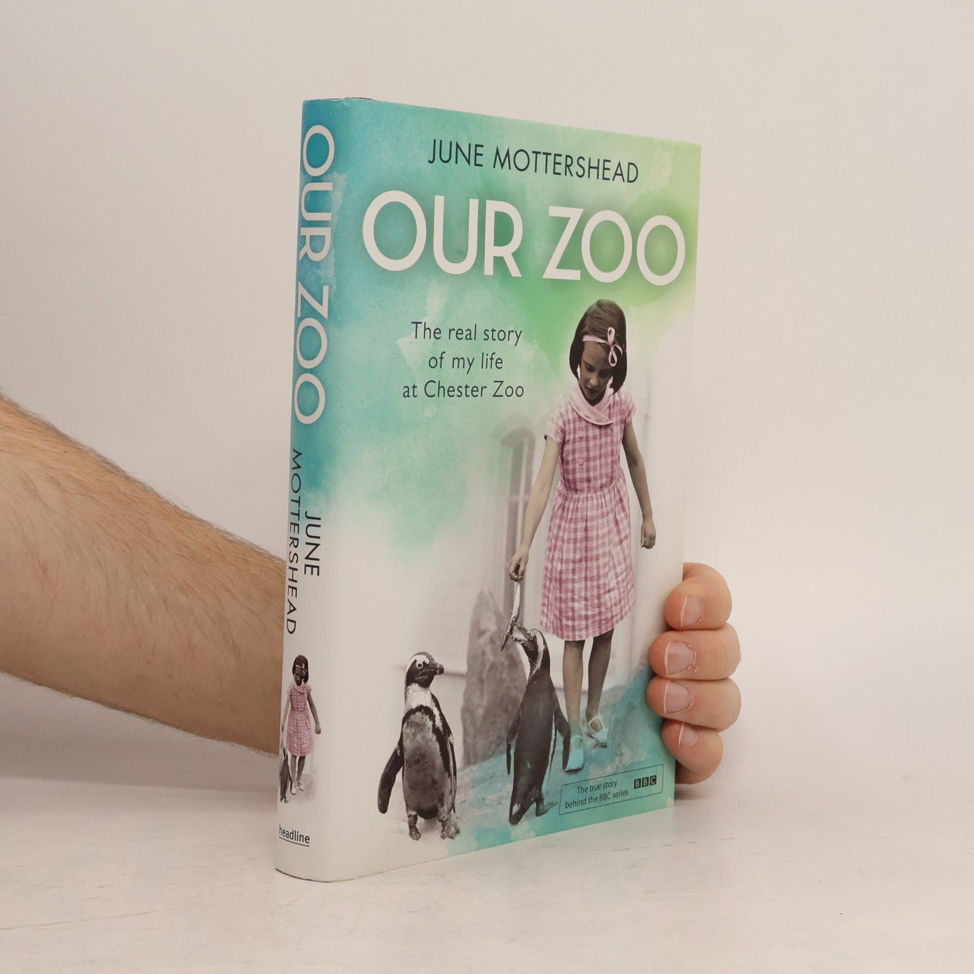 June Mottershead Our Zoo