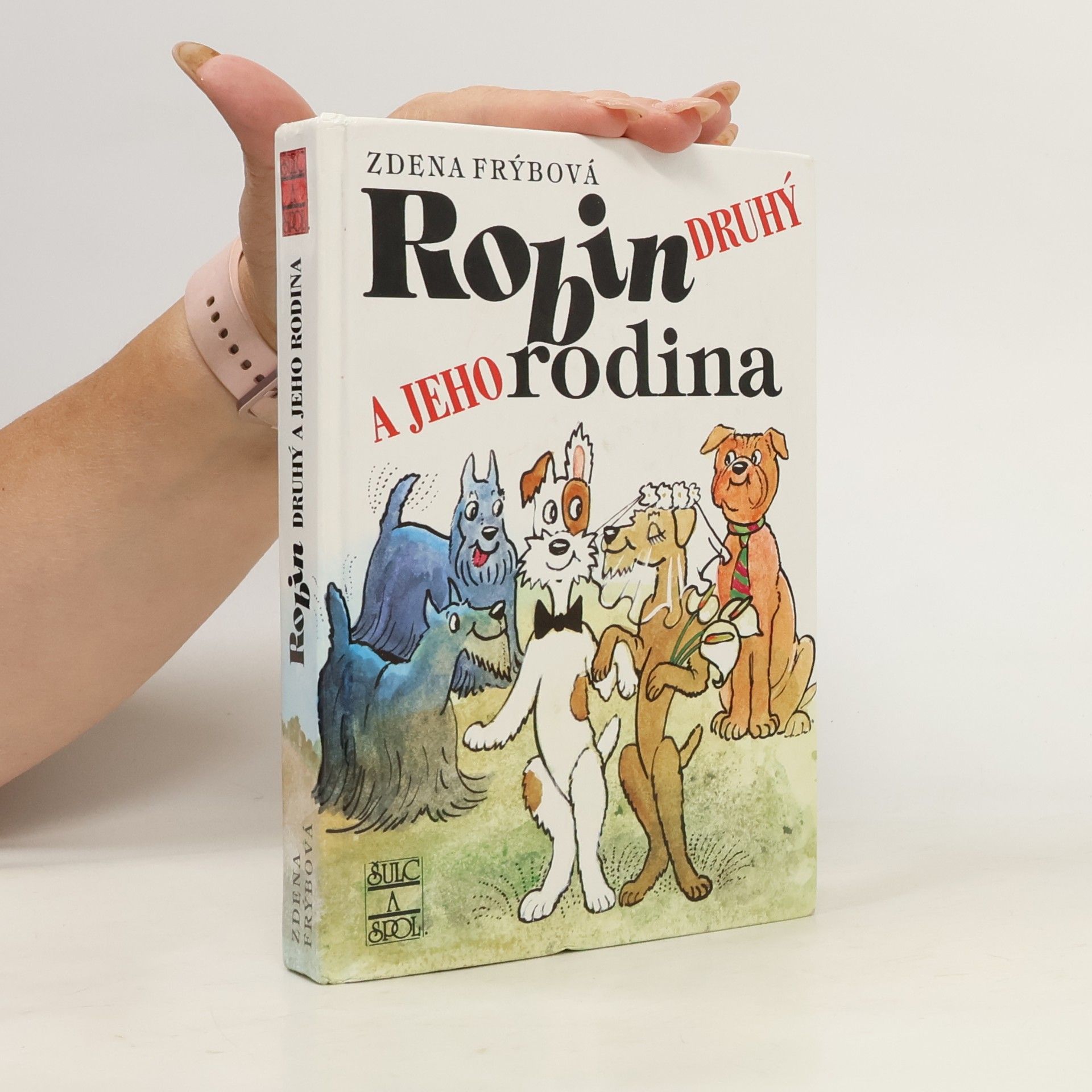 Zdena Frýbová Robin Druhý a jeho rodina