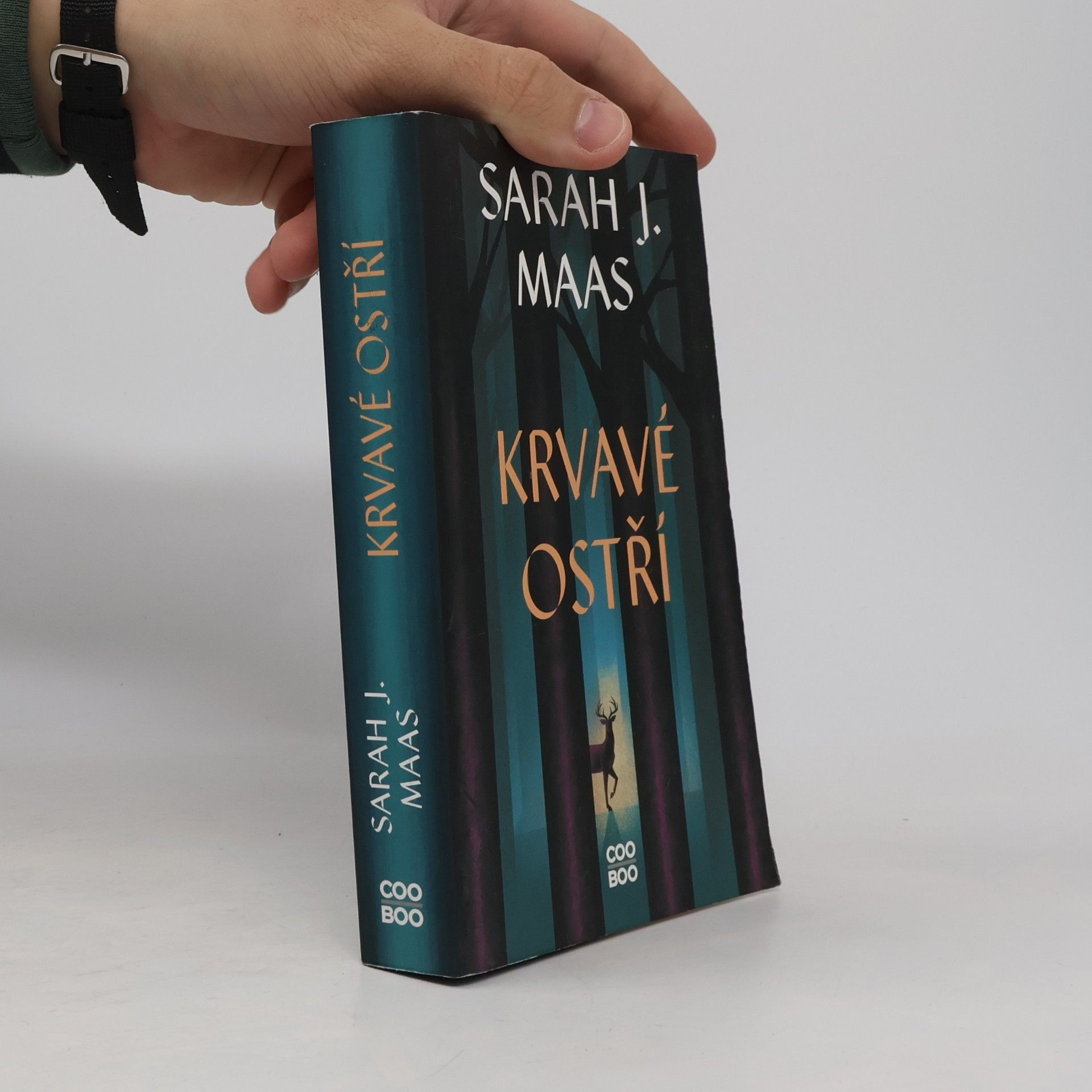 Sarah J. Maas Krvavé ostří