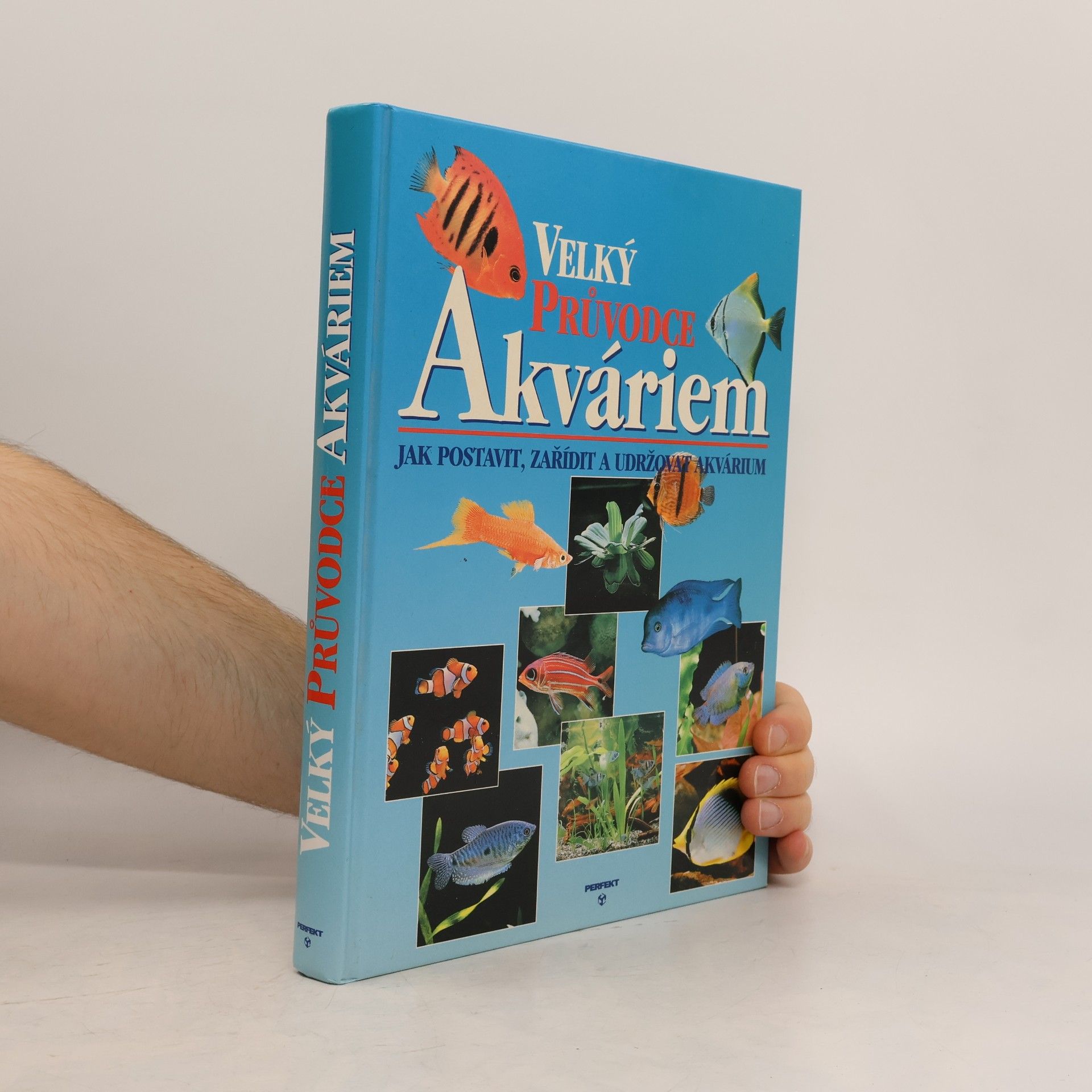 Thierry Maitre Allain Velký průvodce akváriem