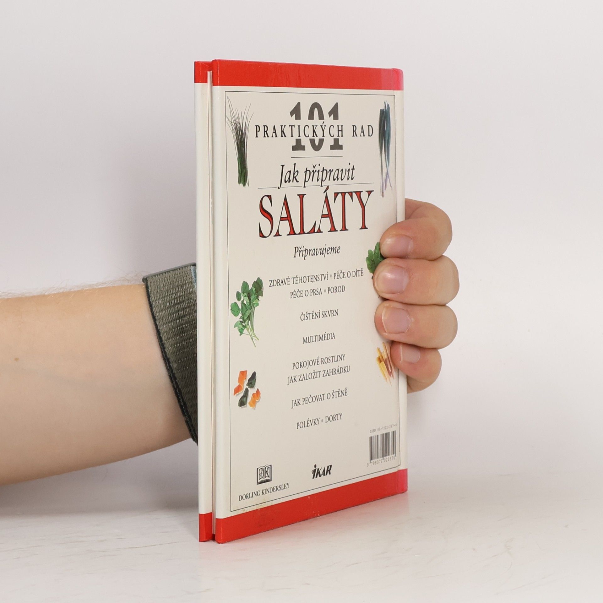 Anne Willan Jak připravit saláty