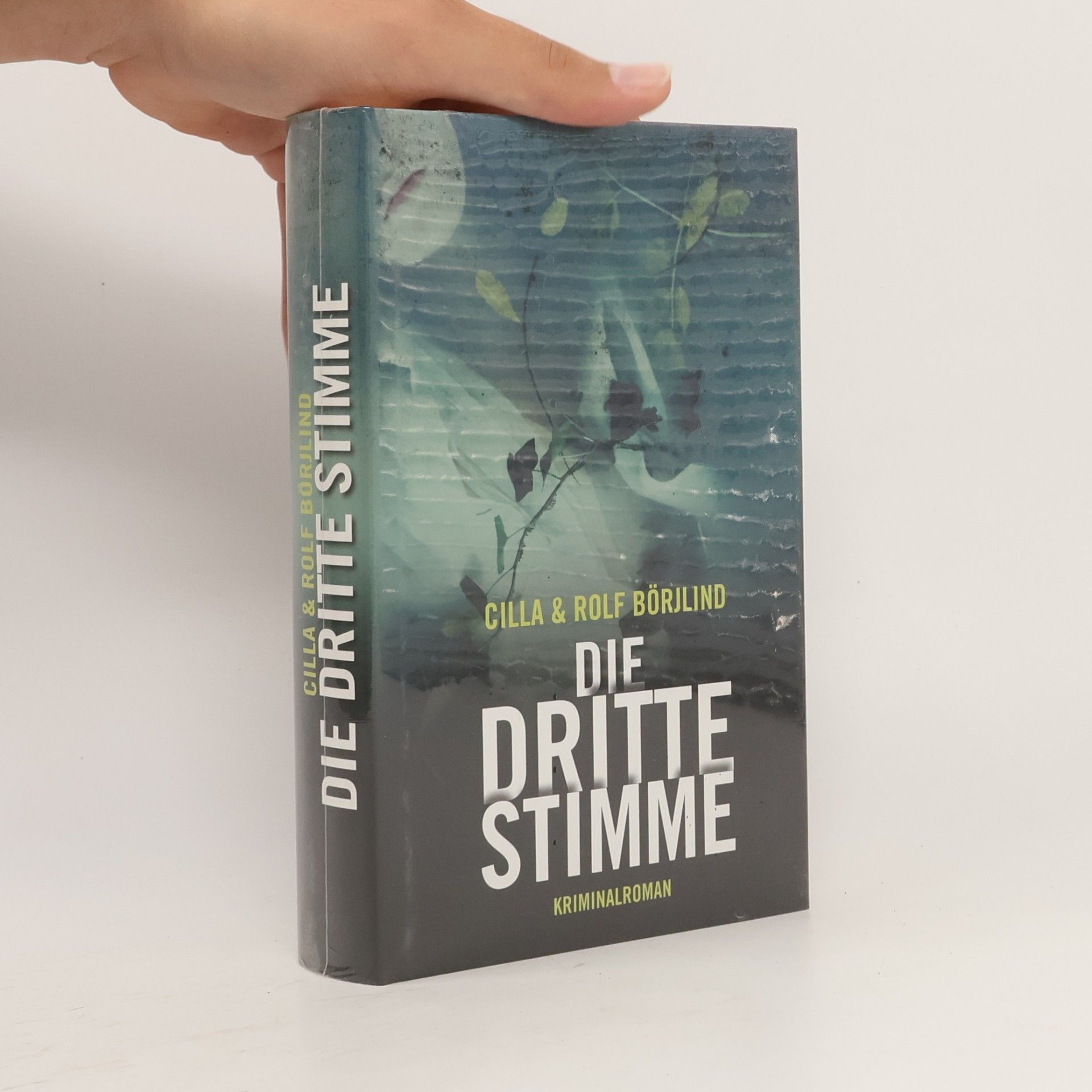 Die dritte Stimme