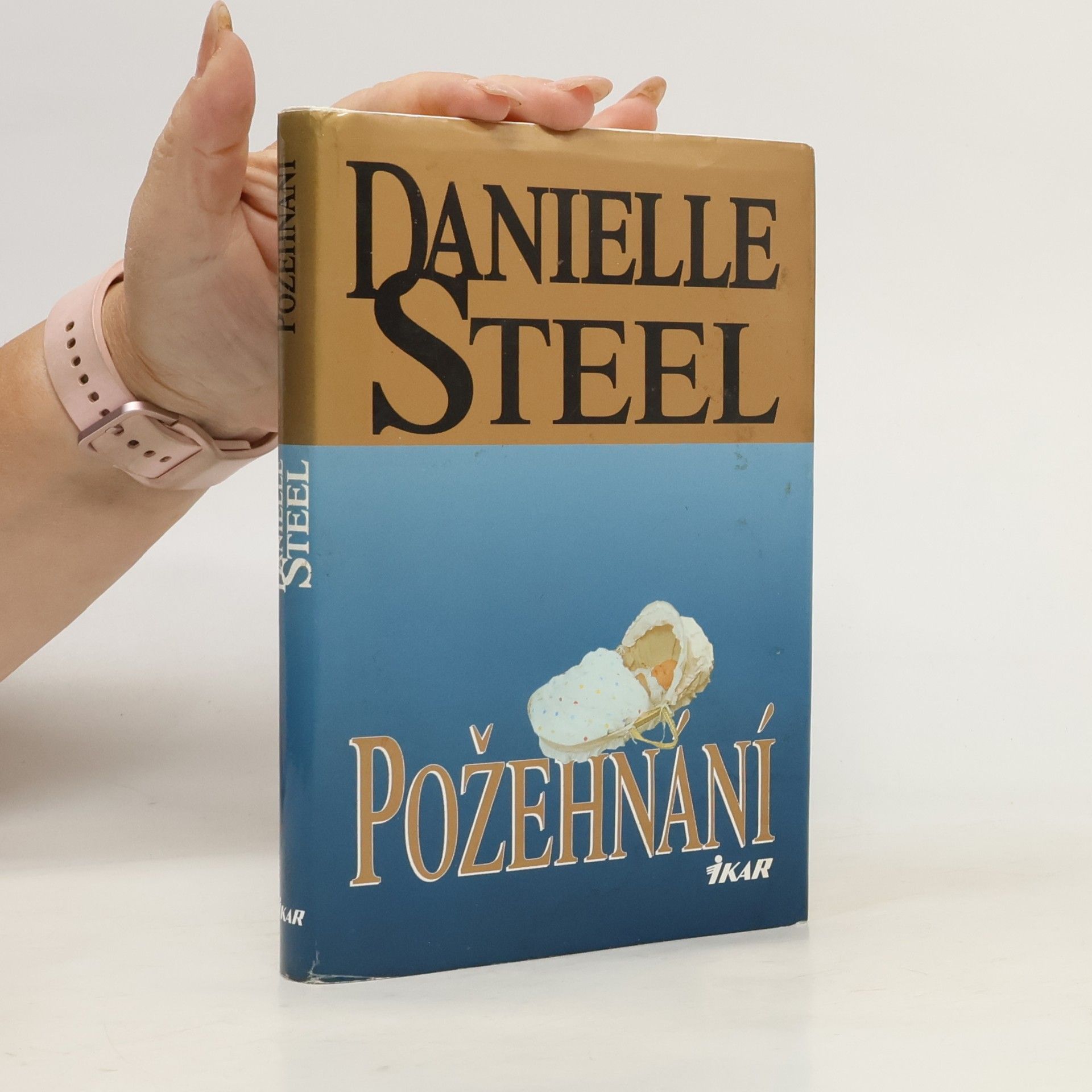 Danielle Steel Požehnání