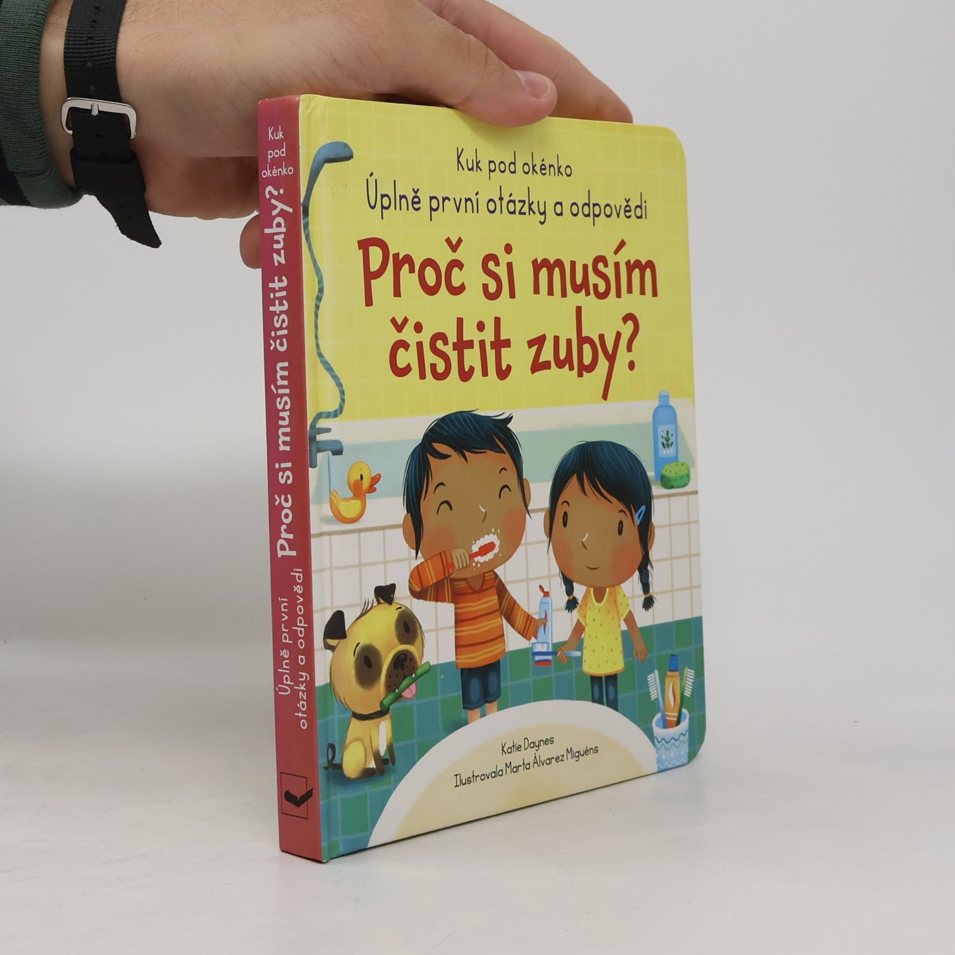 Katie Daynes Proč si musím čistit zuby?