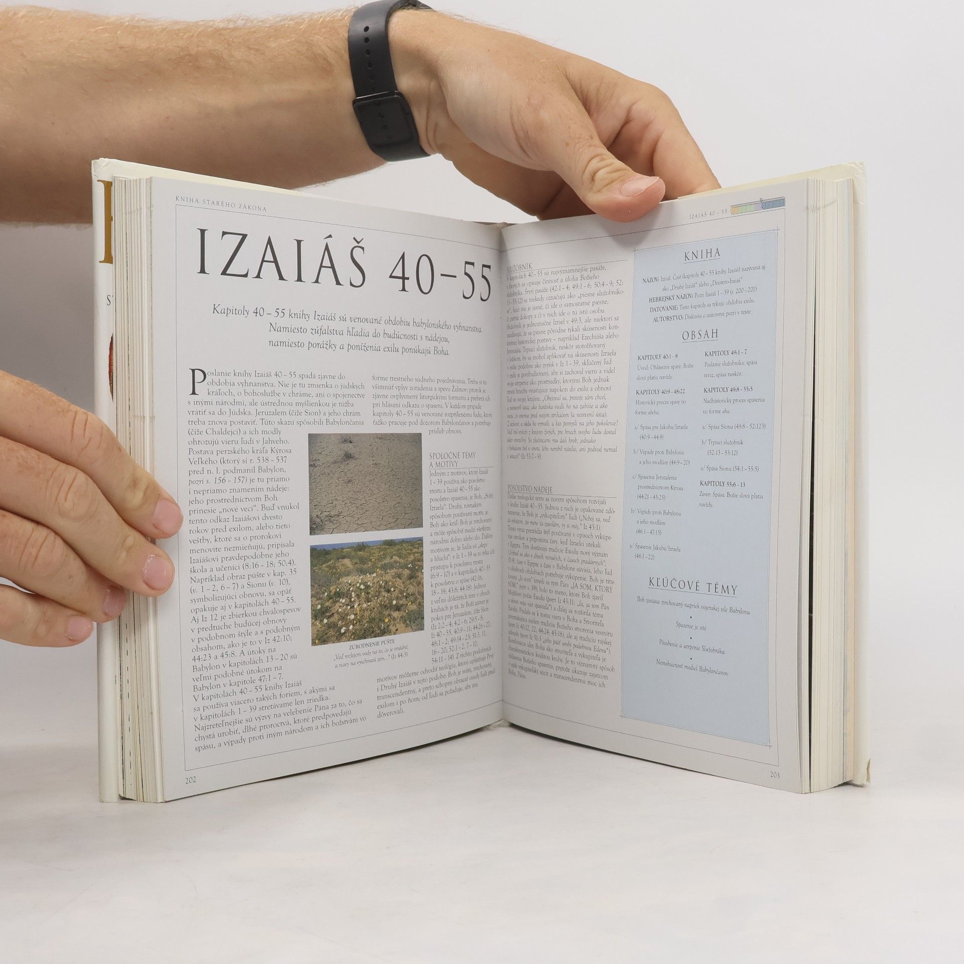 John Bowker Biblia. Ilustrovaný sprievodca starým a novým zákonom