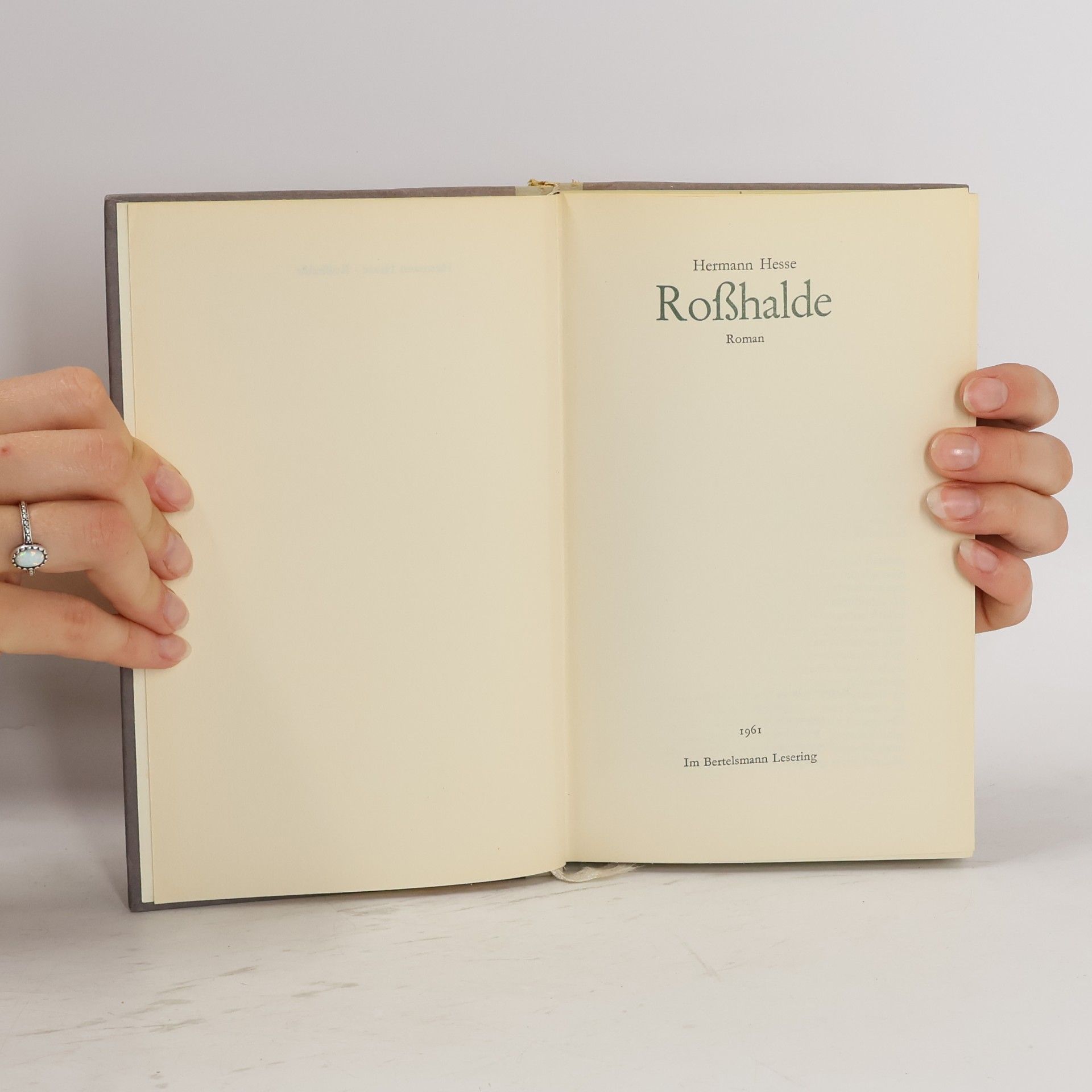 Hermann Hesse Roßhalde