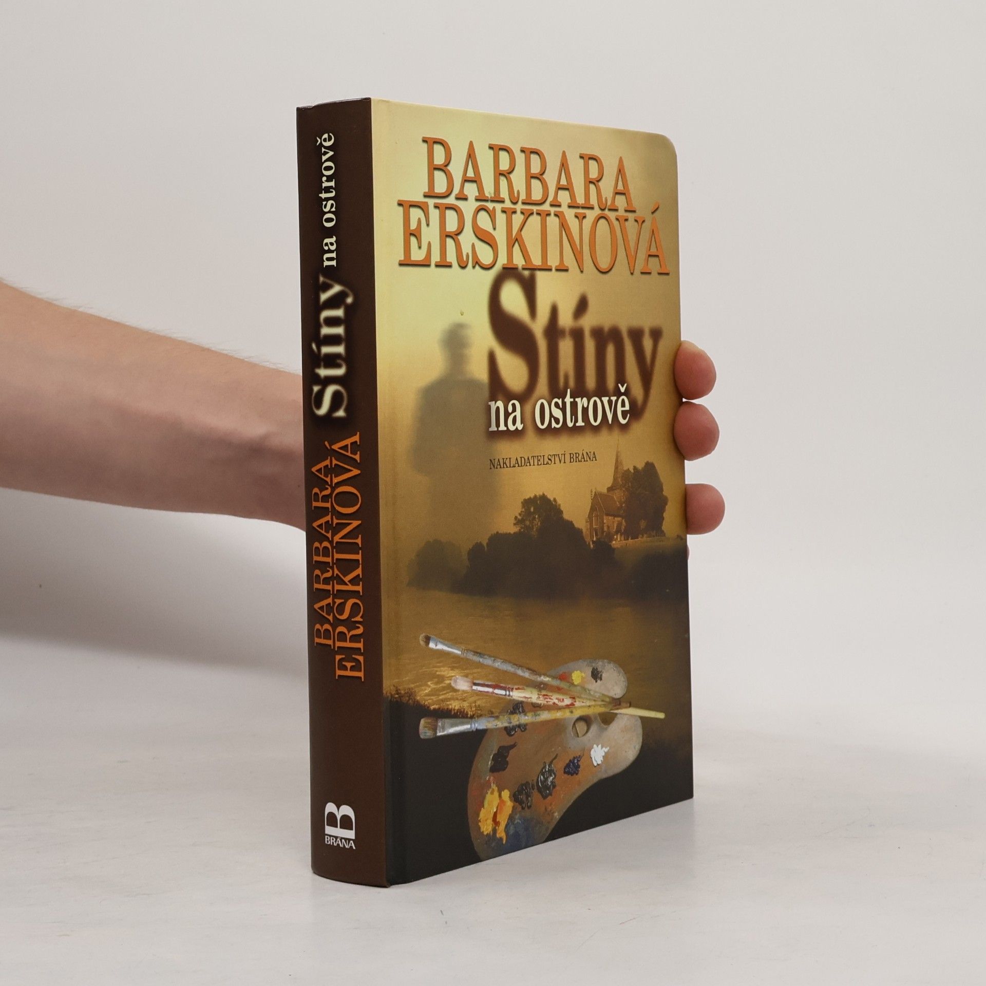 Barbara Erskinová Stíny na ostrově