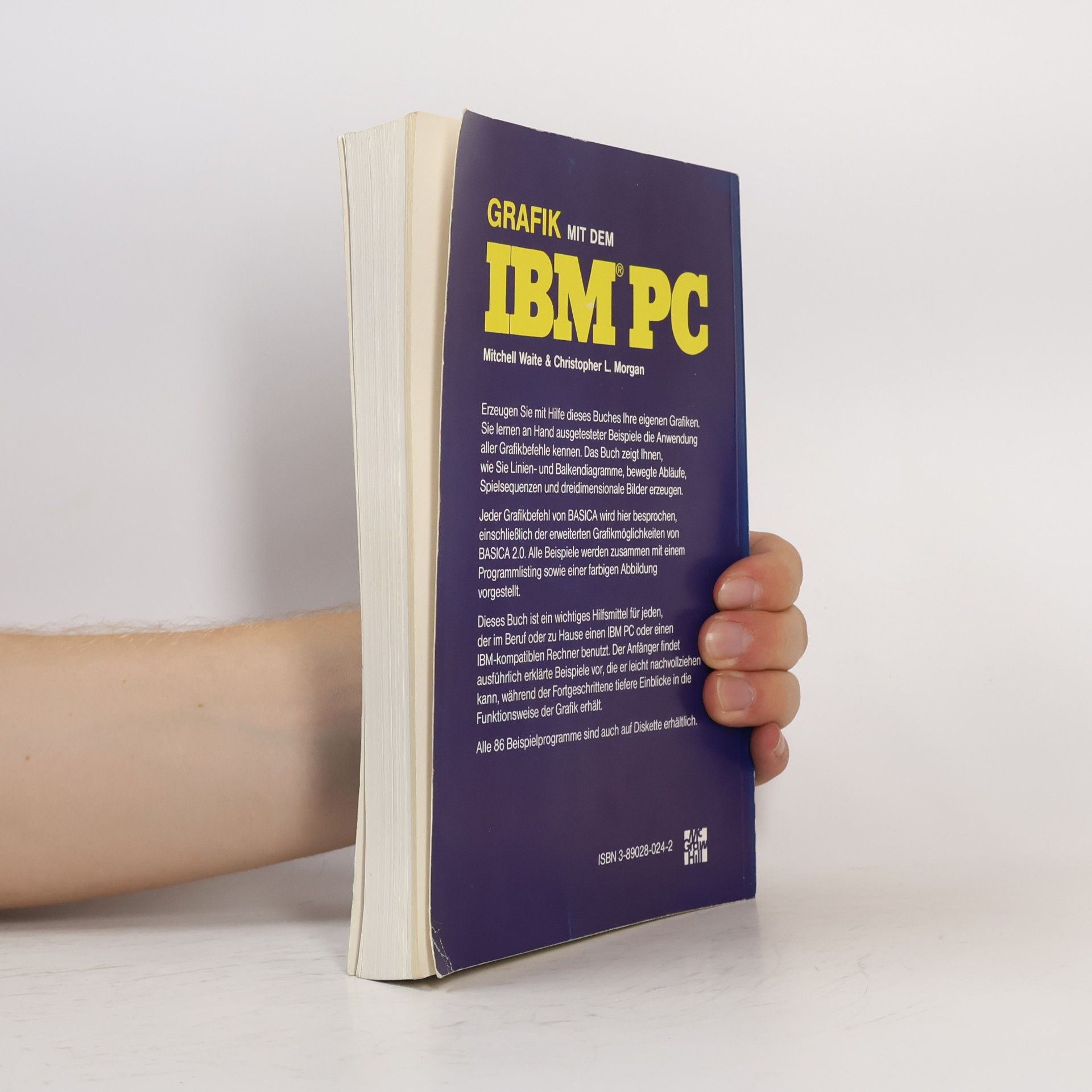 Mitchell Waite Grafik mit dem IBM PC